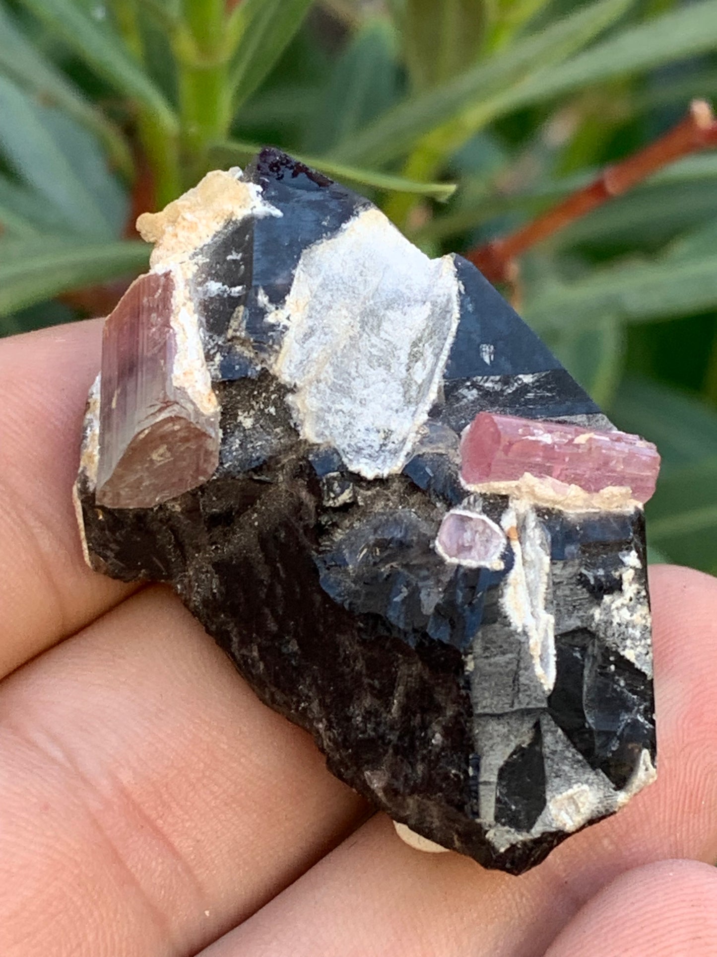 Morion Quartz / Smoky Quartz with Rubellite Tourmaline, natural specimen of 50 x 37 x 24mm - 37.5 grams. Beautiful little piece!