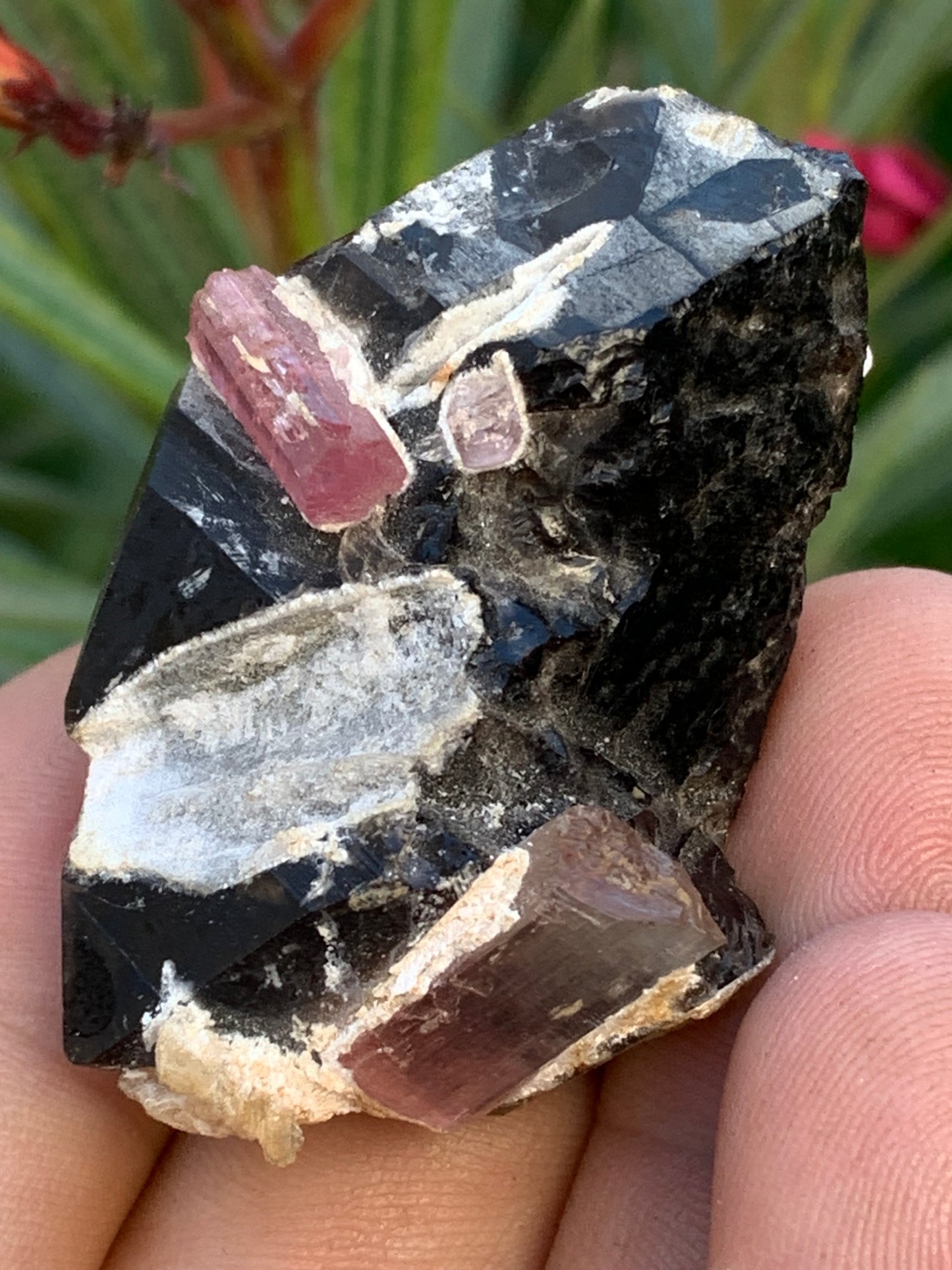 Morion Quartz / Smoky Quartz with Rubellite Tourmaline, natural specimen of 50 x 37 x 24mm - 37.5 grams. Beautiful little piece!
