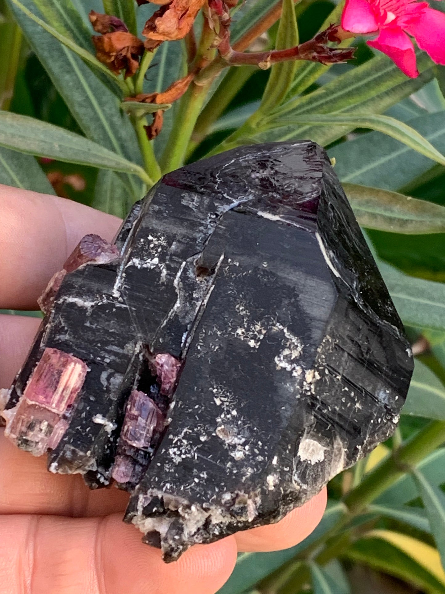 Cristal de roche fumé/ Quartz Morion / Quartz Fumé avec Tourmaline Rubellite, incroyable spécimen naturel de 90 x 70 x 48mm - 216 grammes. Superbe pièce !