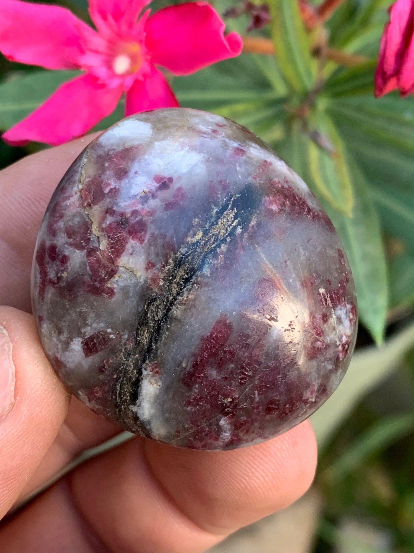 Tourmaline Rubellite, galet de 42 x 40 x 22mm - 50,5 grammes. Une très belle et unique pièce !