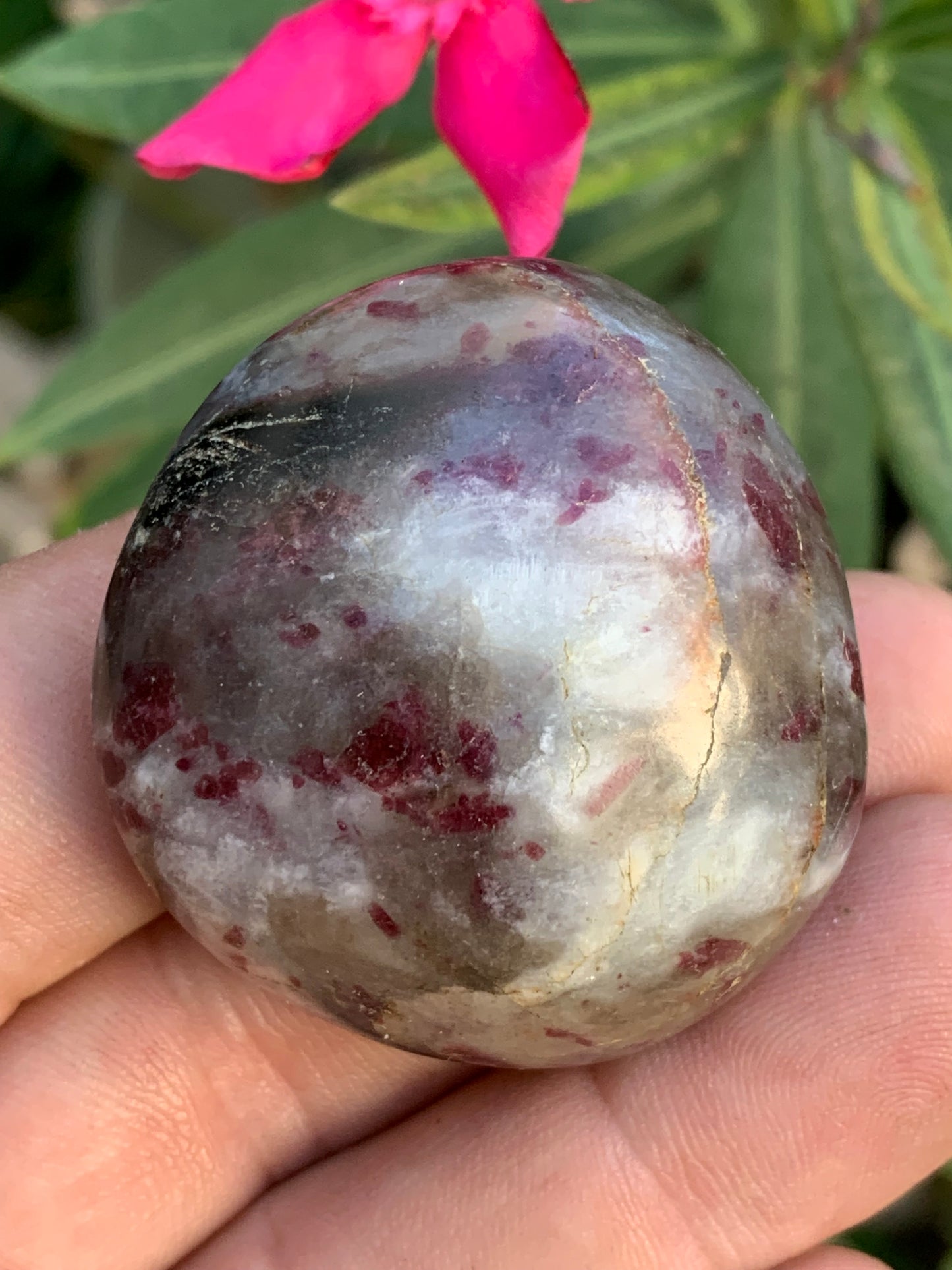 Tourmaline Rubellite, galet de 42 x 40 x 22mm - 50,5 grammes. Une très belle et unique pièce !