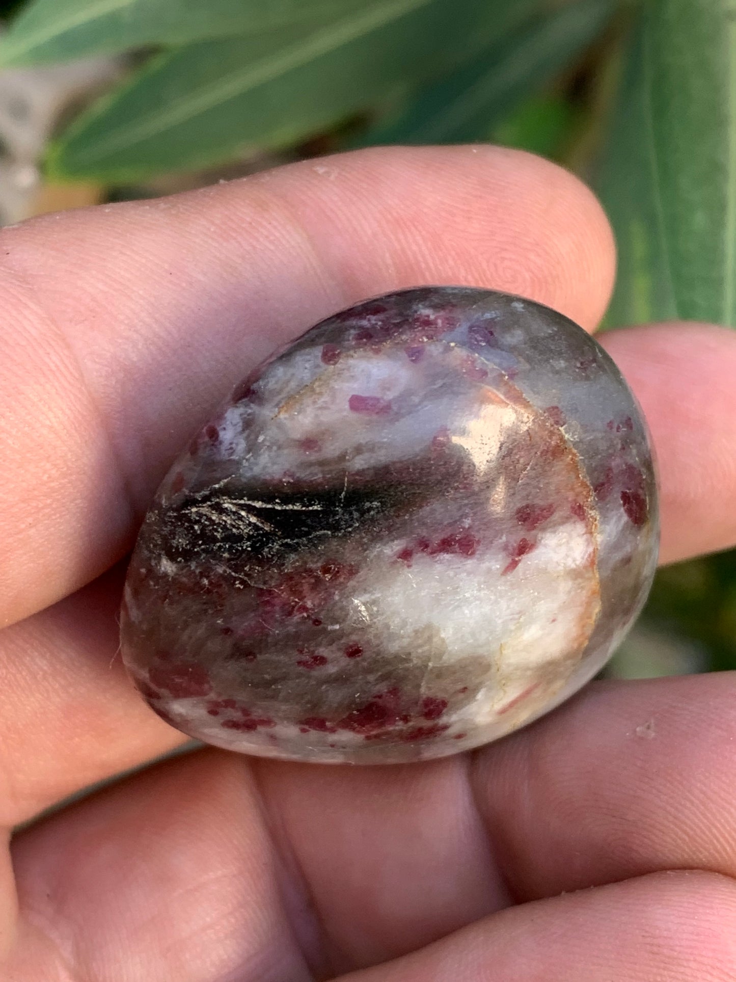 Tourmaline Rubellite, galet de 42 x 40 x 22mm - 50,5 grammes. Une très belle et unique pièce !
