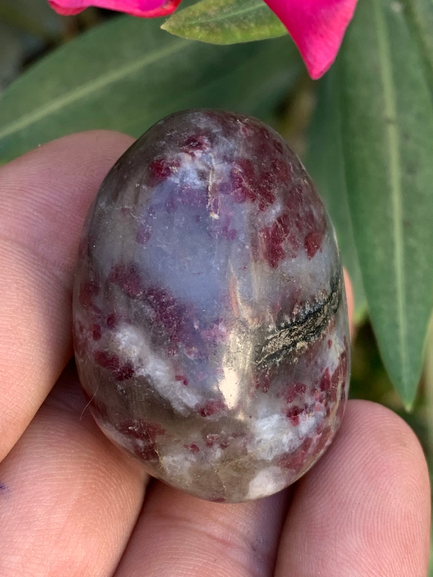 Tourmaline Rubellite, galet de 42 x 40 x 22mm - 50,5 grammes. Une très belle et unique pièce !