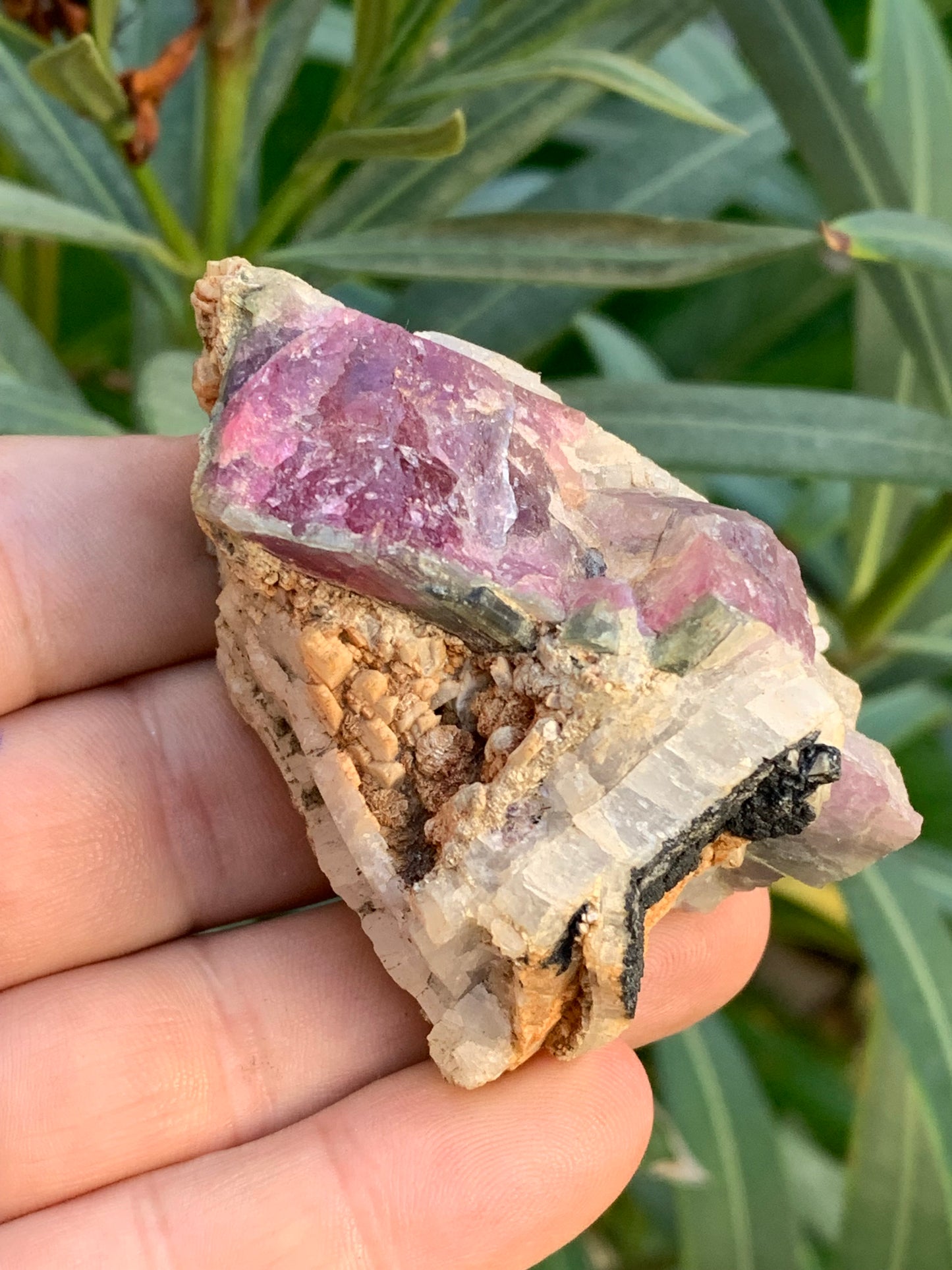Rubellite Tourmaline, 58 x 50 x 43mm - 136.2 grams. A very beautiful little piece!