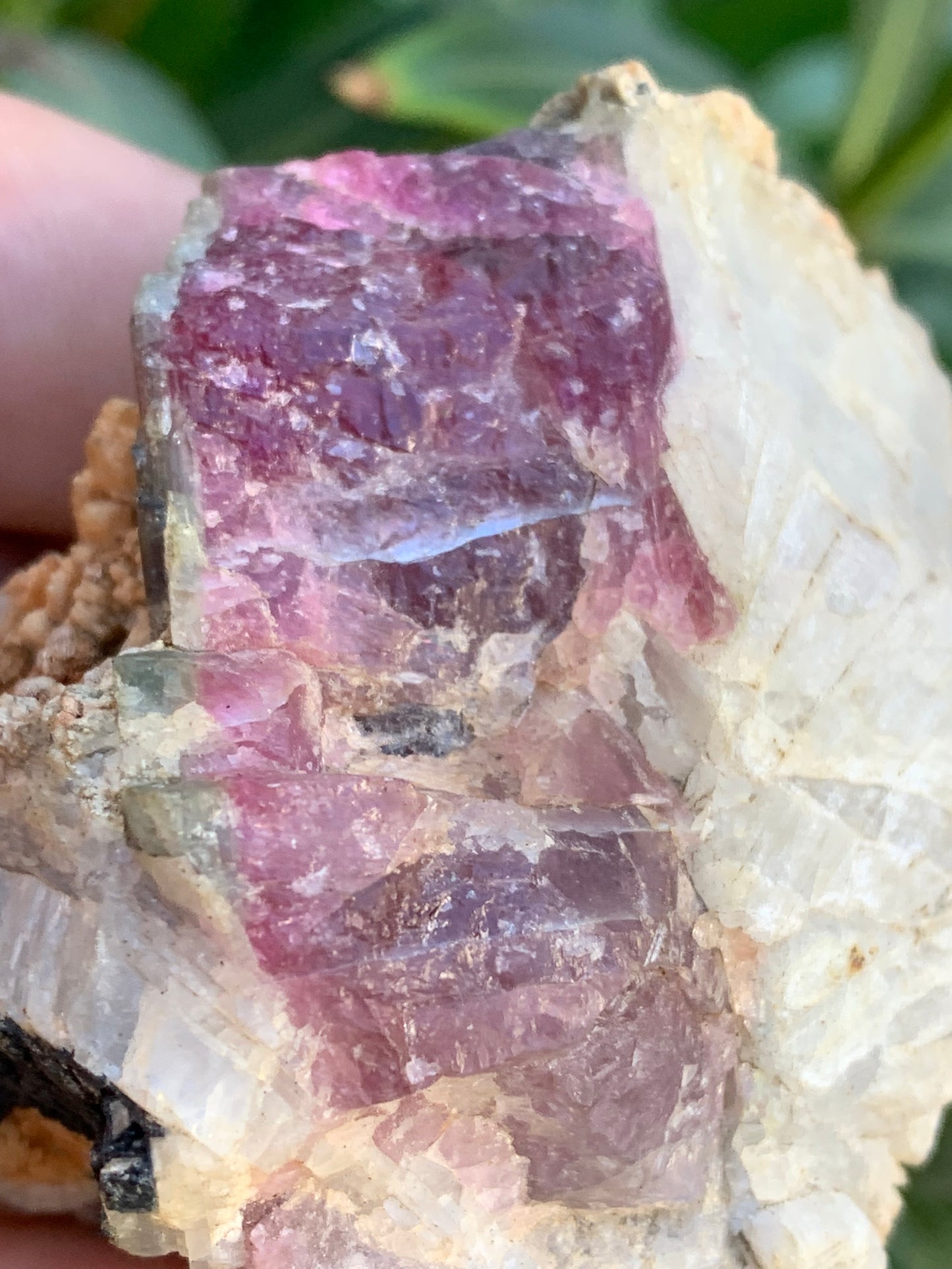 Rubellite Tourmaline, 58 x 50 x 43mm - 136.2 grams. A very beautiful little piece!
