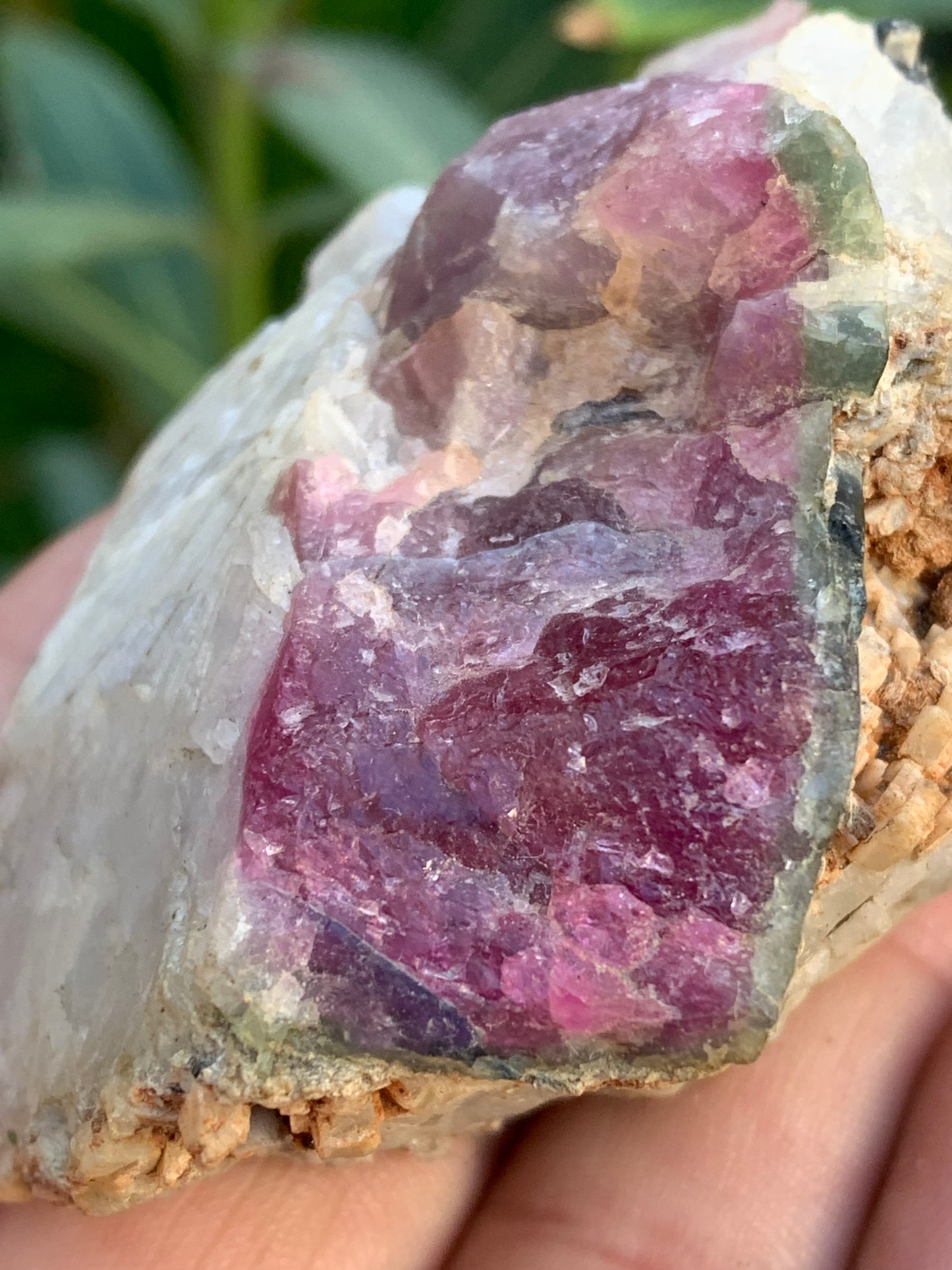 Rubellite Tourmaline, 58 x 50 x 43mm - 136.2 grams. A very beautiful little piece!