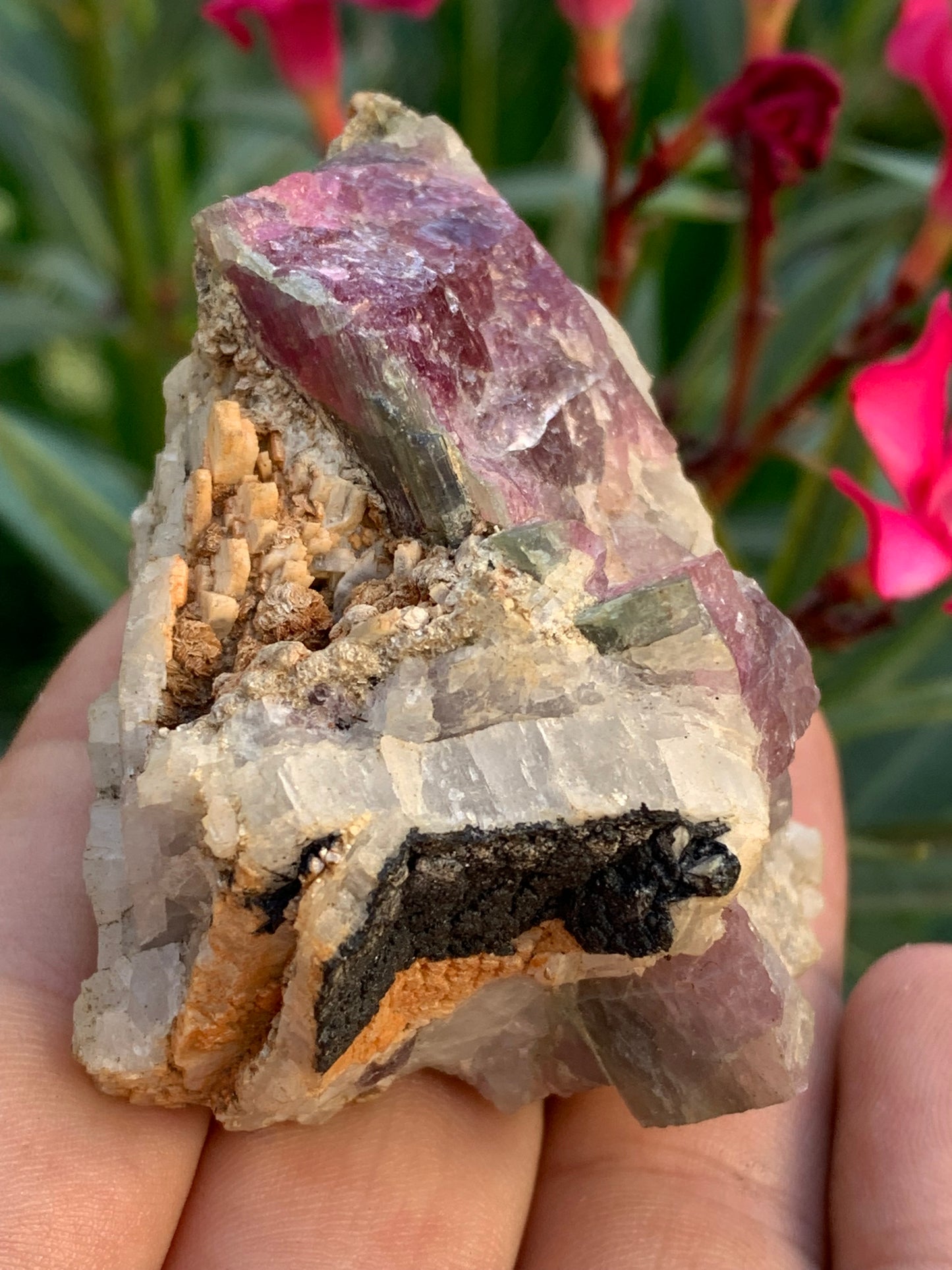 Rubellite Tourmaline, 58 x 50 x 43mm - 136.2 grams. A very beautiful little piece!