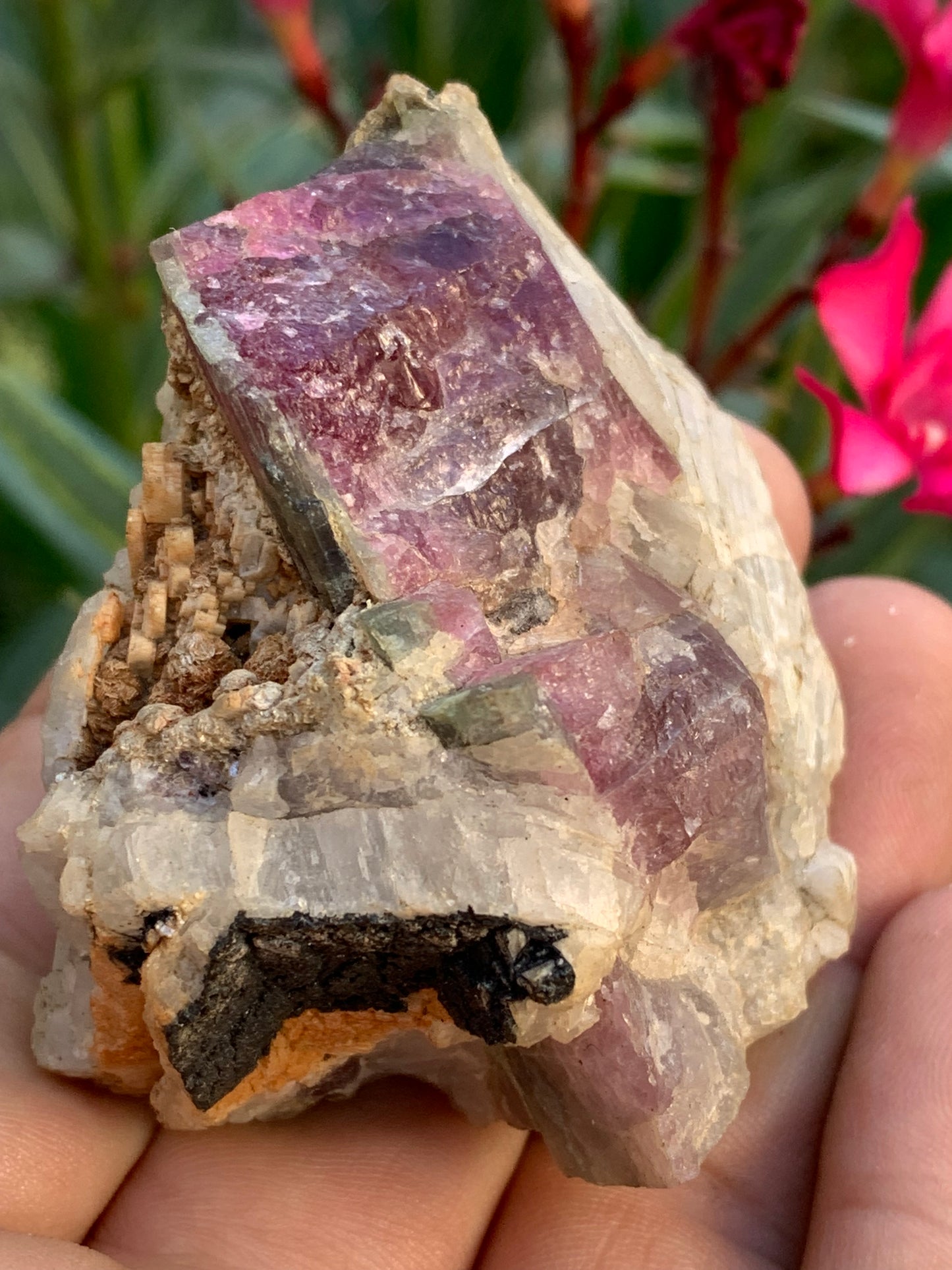 Rubellite Tourmaline, 58 x 50 x 43mm - 136.2 grams. A very beautiful little piece!