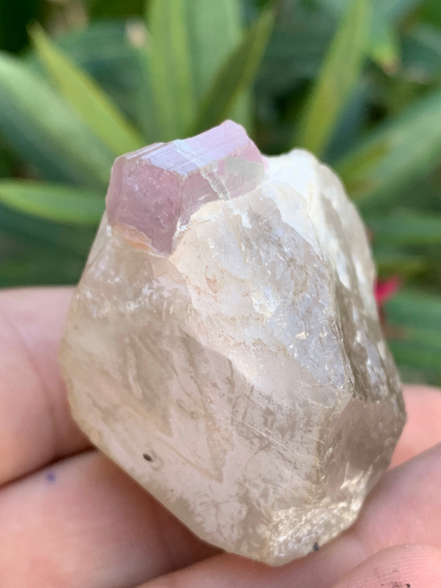 Tourmaline Rubellite sur quartz, 58 x 43 x 40mm - 87,3 grammes. Une très belle petite pièce !