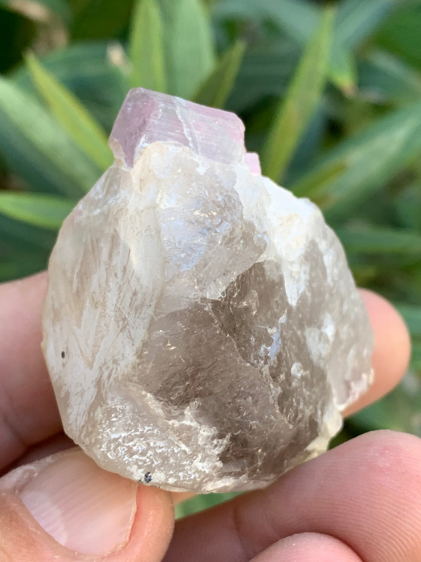 Tourmaline Rubellite sur quartz, 58 x 43 x 40mm - 87,3 grammes. Une très belle petite pièce !