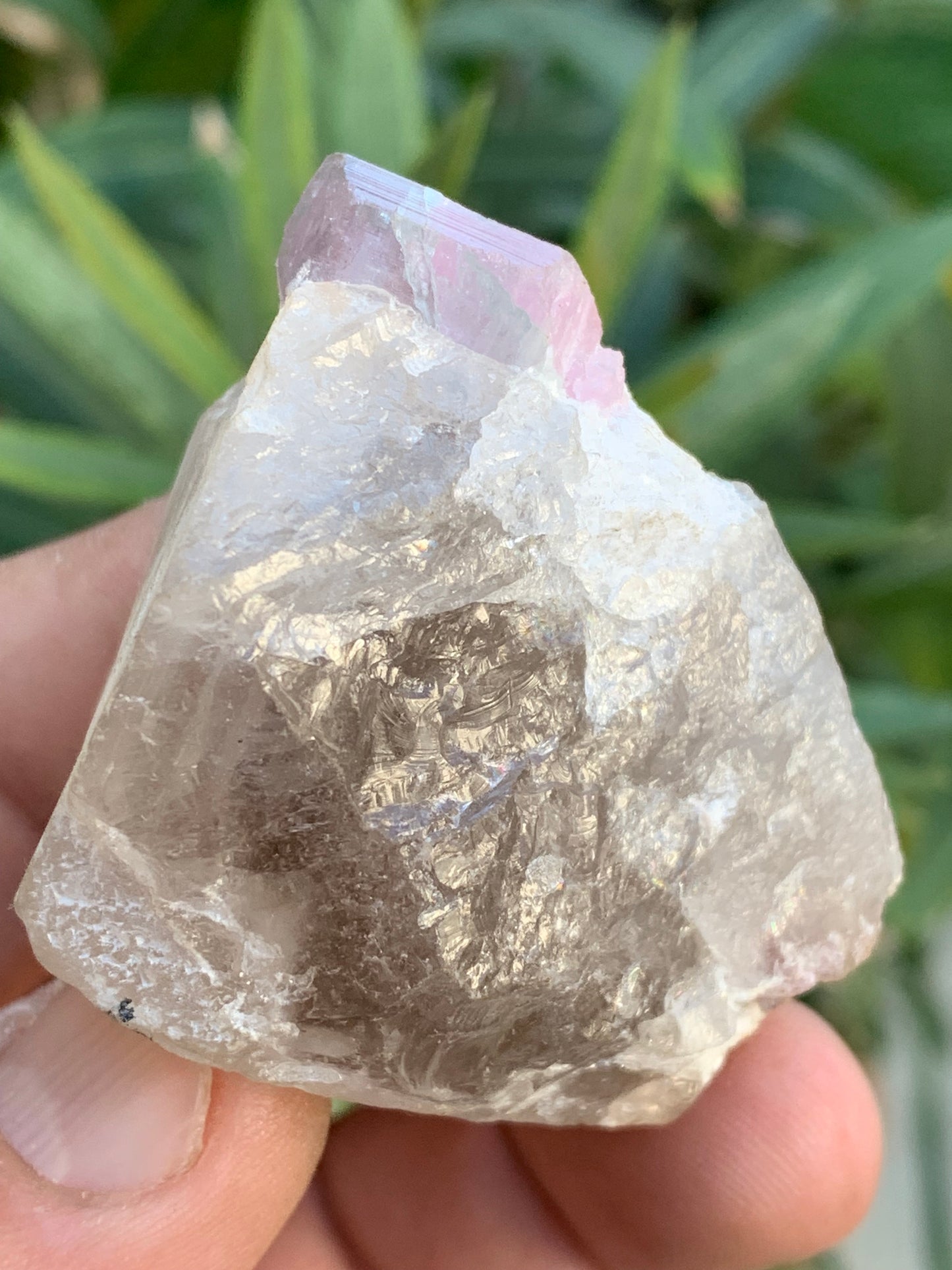 Tourmaline Rubellite sur quartz, 58 x 43 x 40mm - 87,3 grammes. Une très belle petite pièce !