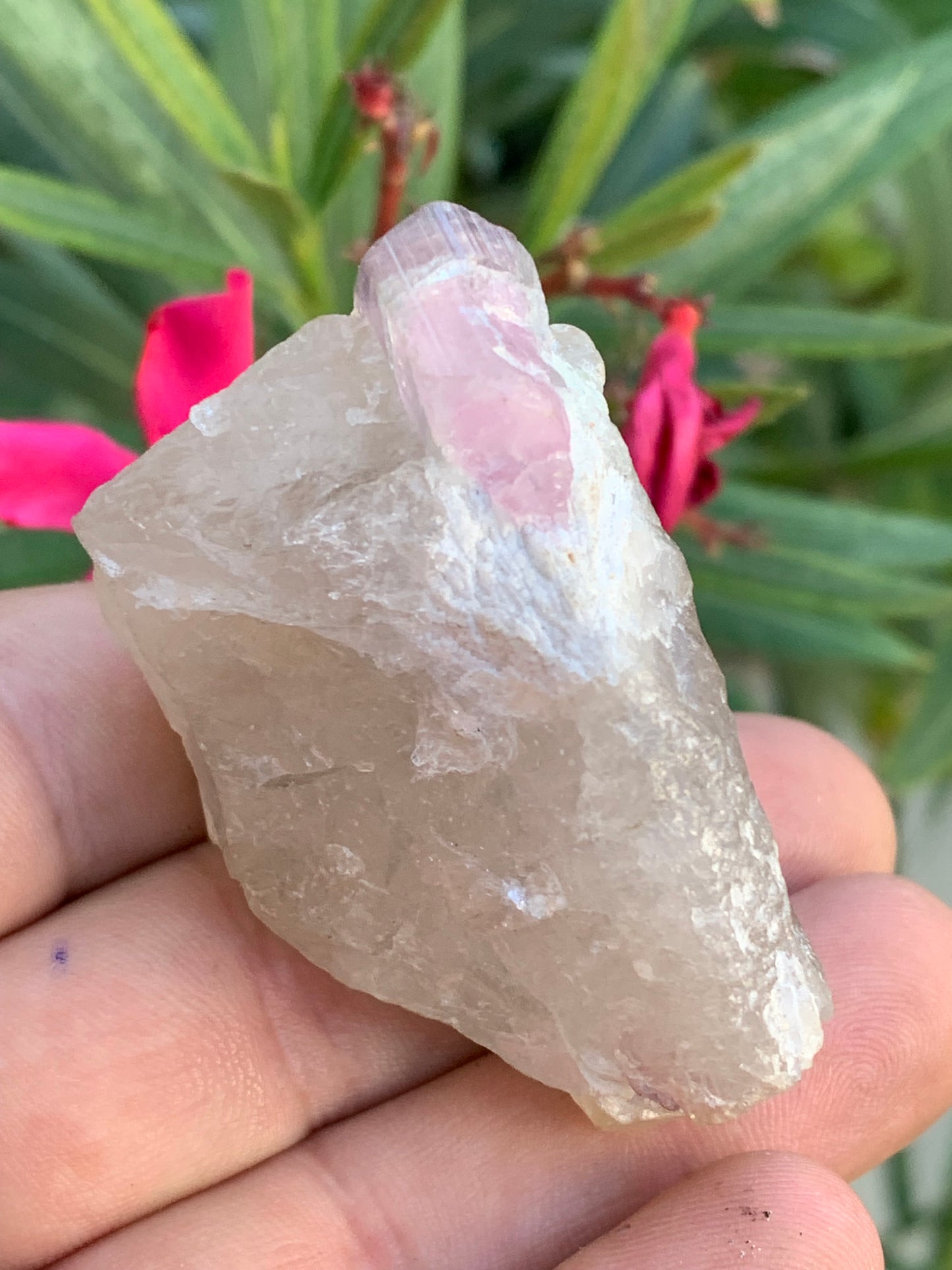 Tourmaline Rubellite sur quartz, 58 x 43 x 40mm - 87,3 grammes. Une très belle petite pièce !