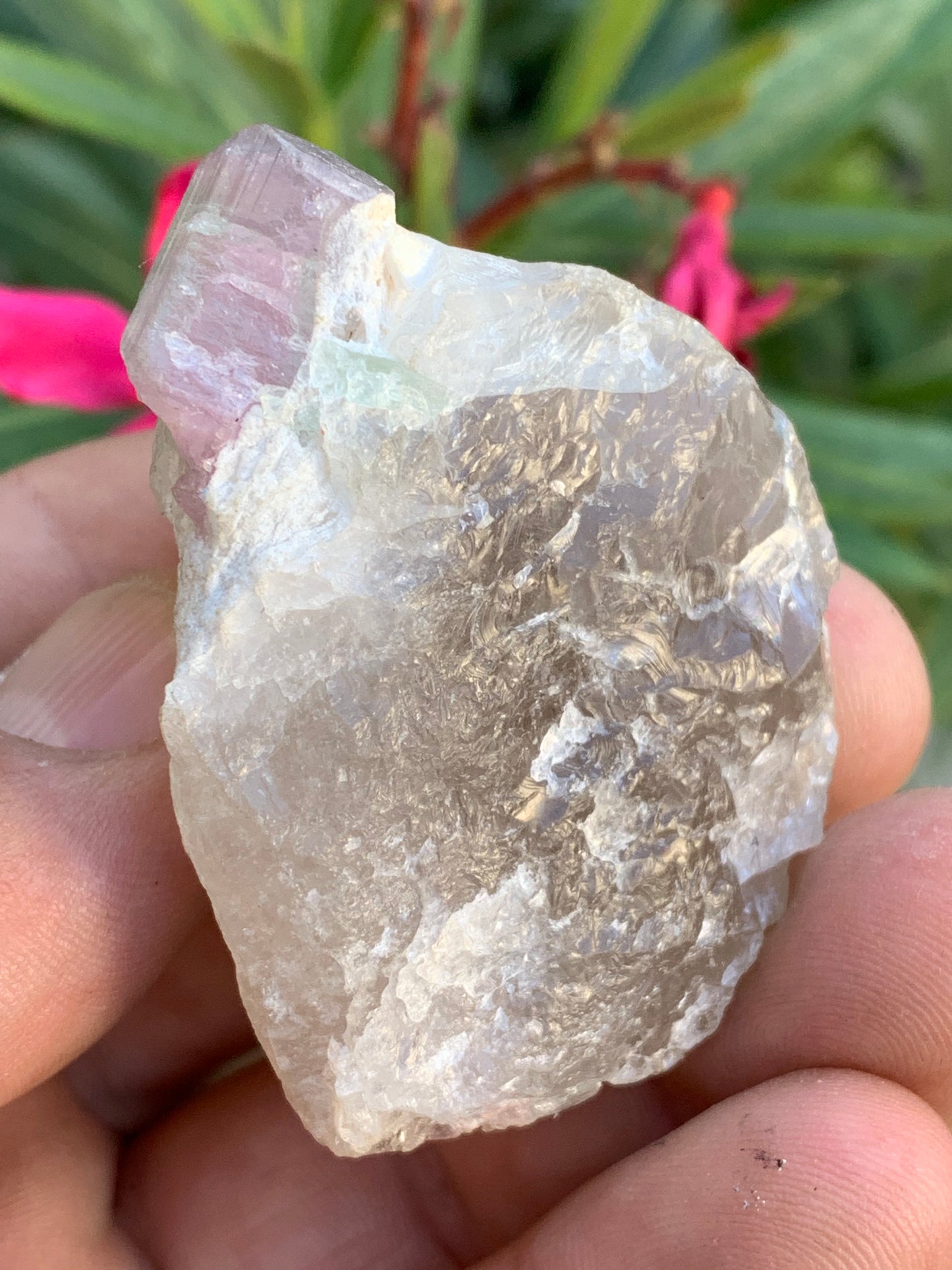 Tourmaline Rubellite sur quartz, 58 x 43 x 40mm - 87,3 grammes. Une très belle petite pièce !
