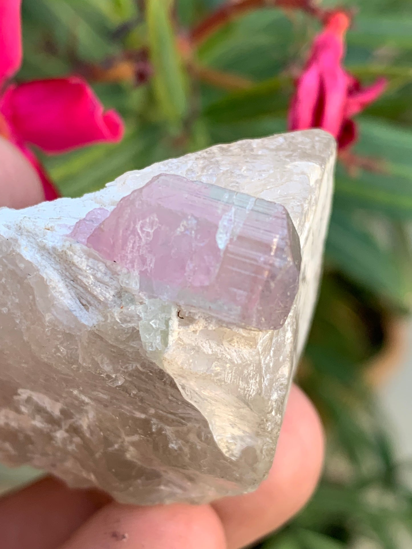 Tourmaline Rubellite sur quartz, 58 x 43 x 40mm - 87,3 grammes. Une très belle petite pièce !