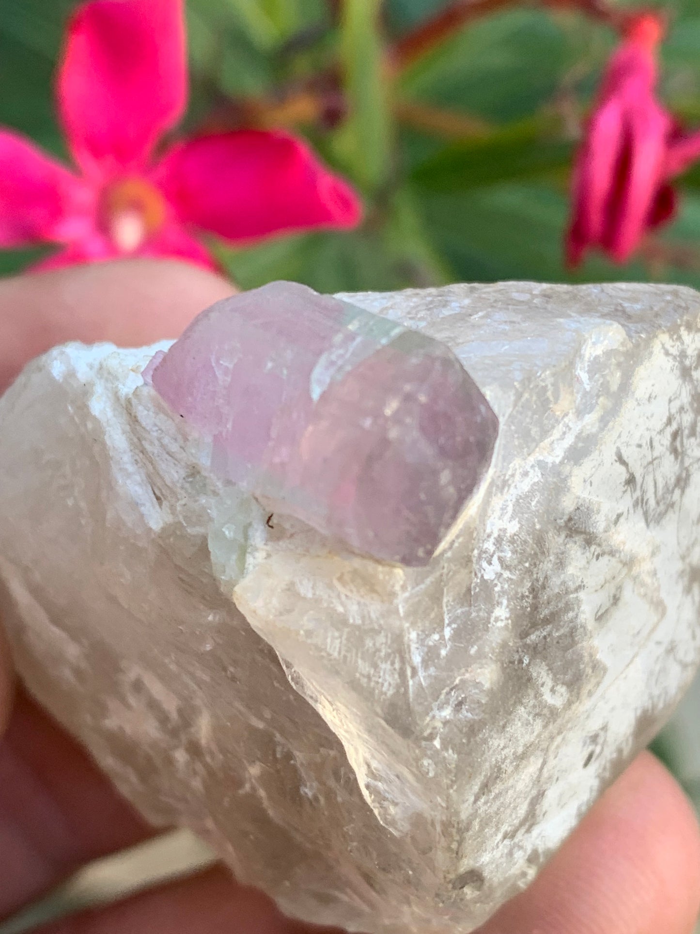 Tourmaline Rubellite sur quartz, 58 x 43 x 40mm - 87,3 grammes. Une très belle petite pièce !