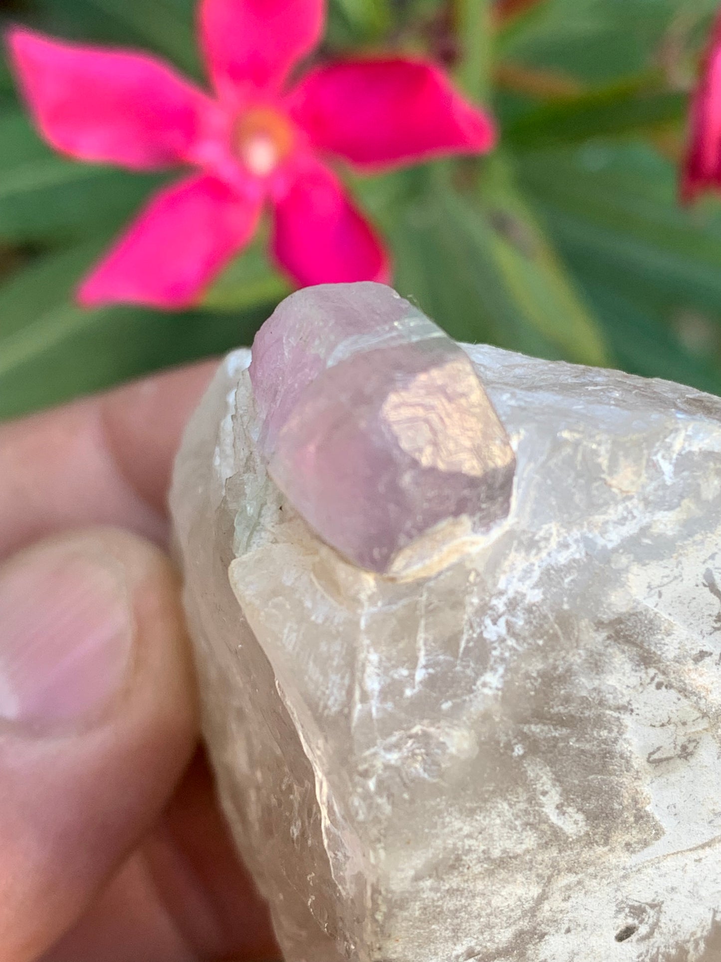 Tourmaline Rubellite sur quartz, 58 x 43 x 40mm - 87,3 grammes. Une très belle petite pièce !