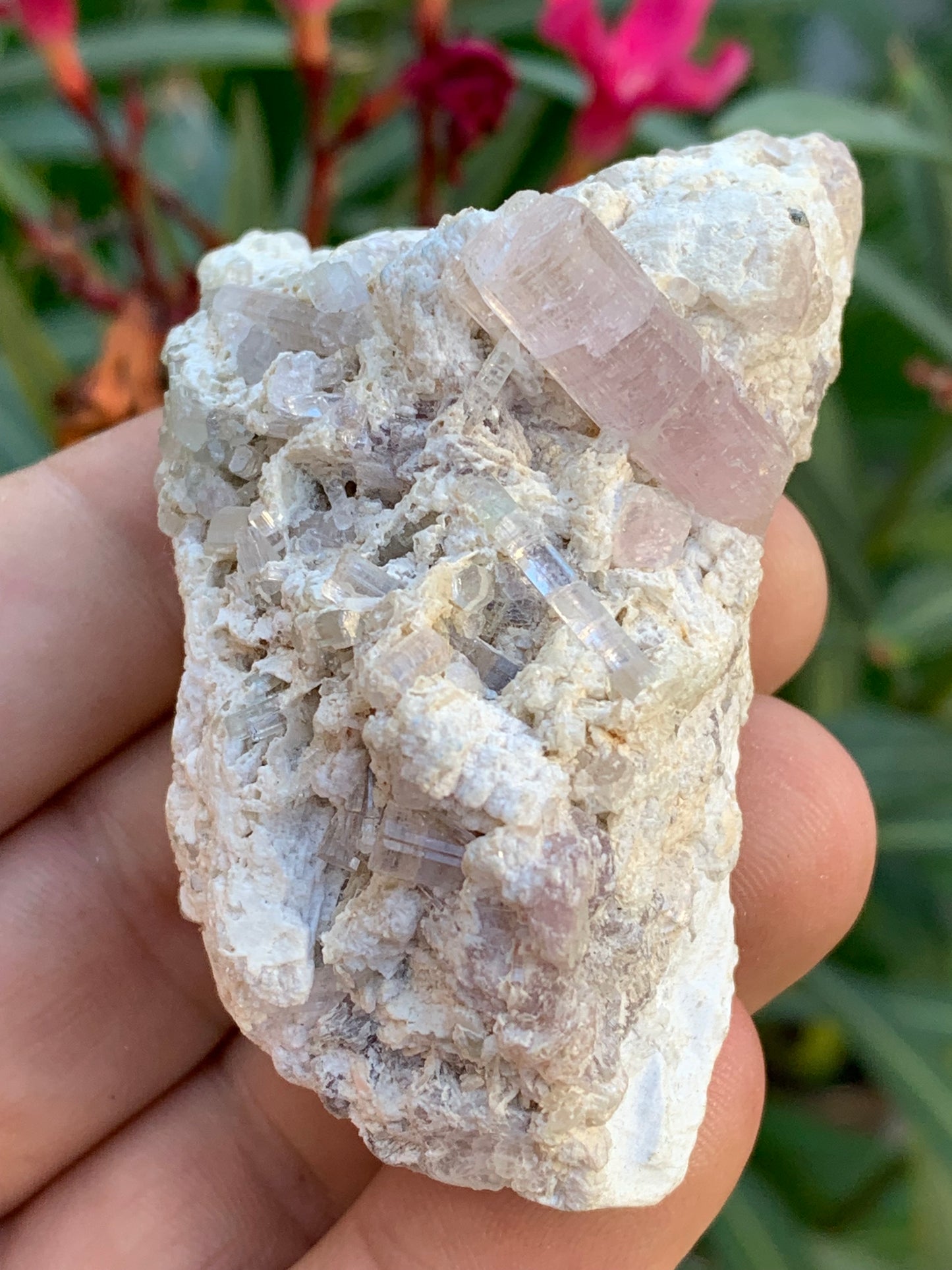 Tourmaline Rubellite, 67 x 43 x 31mm - 97,6 grammes. Une très belle petite pièce remplis de cristaux!