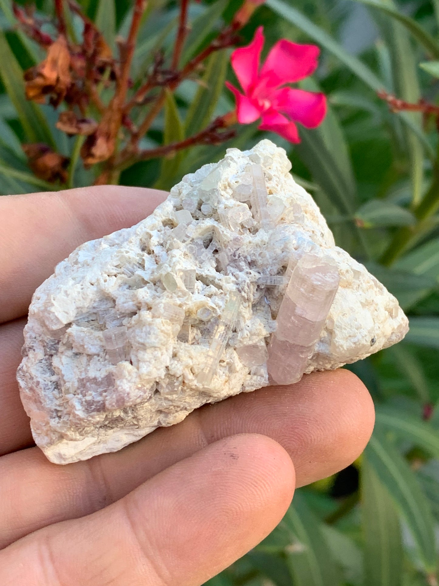 Tourmaline Rubellite, 67 x 43 x 31mm - 97,6 grammes. Une très belle petite pièce remplis de cristaux!