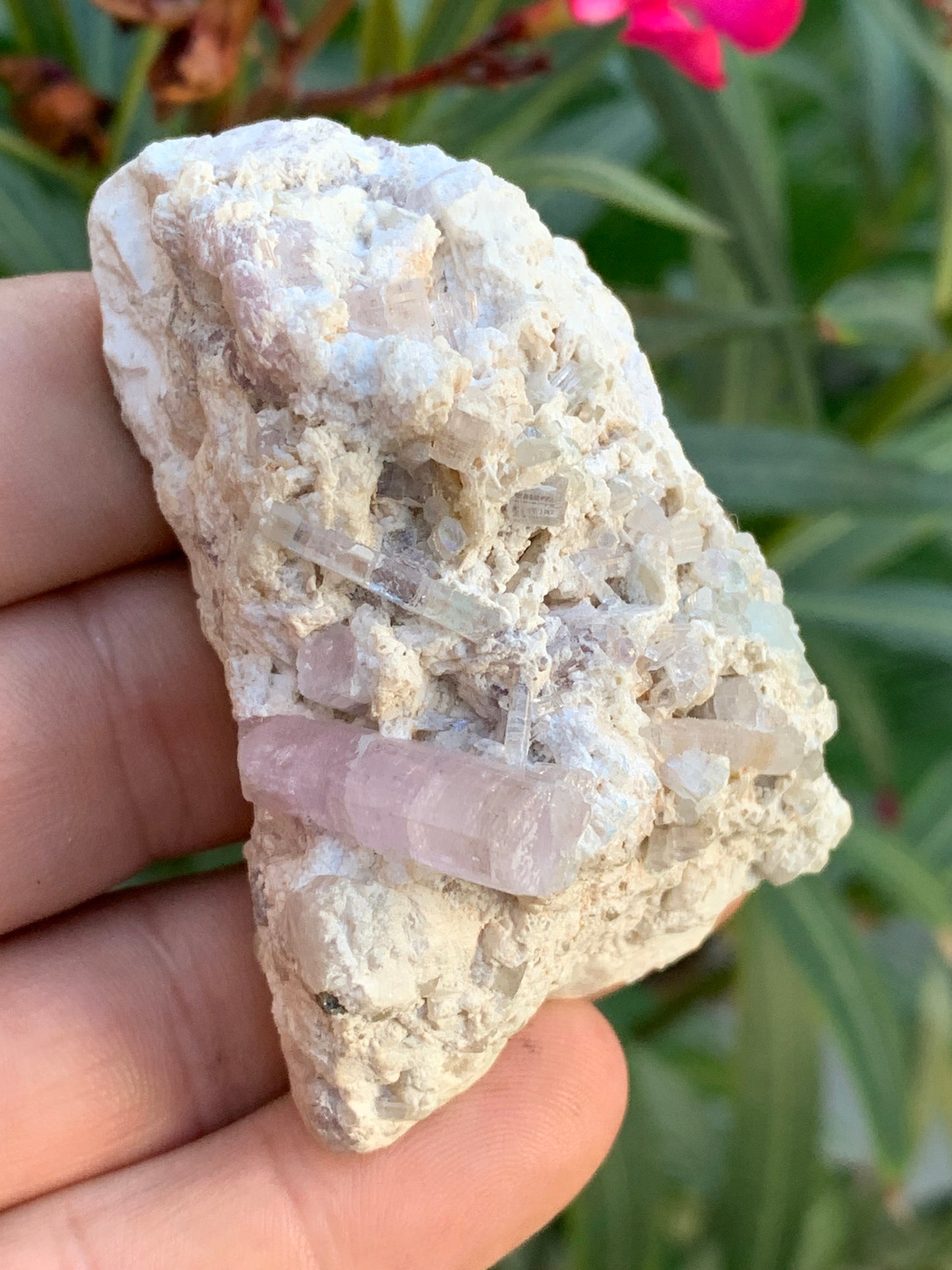 Tourmaline Rubellite, 67 x 43 x 31mm - 97,6 grammes. Une très belle petite pièce remplis de cristaux!