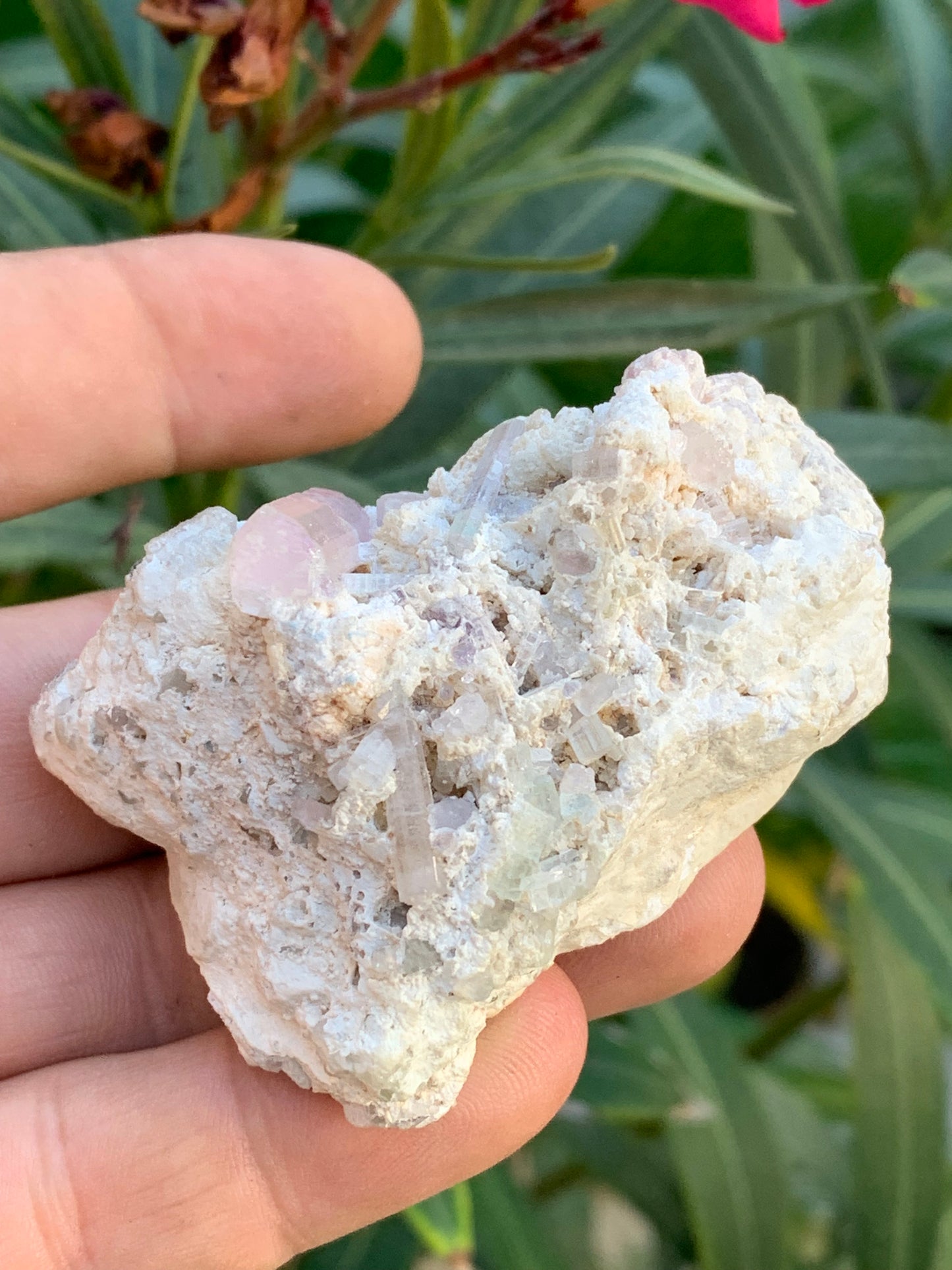 Tourmaline Rubellite, 67 x 43 x 31mm - 97,6 grammes. Une très belle petite pièce remplis de cristaux!