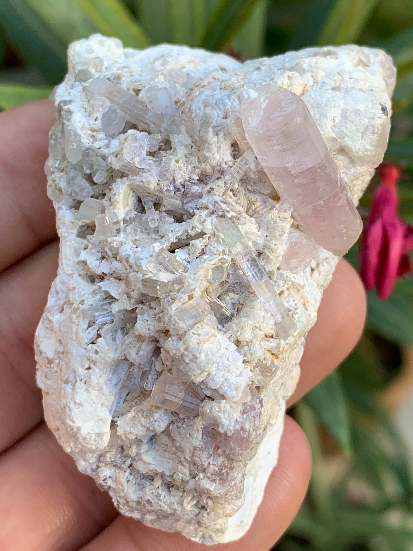 Tourmaline Rubellite, 67 x 43 x 31mm - 97,6 grammes. Une très belle petite pièce remplis de cristaux!
