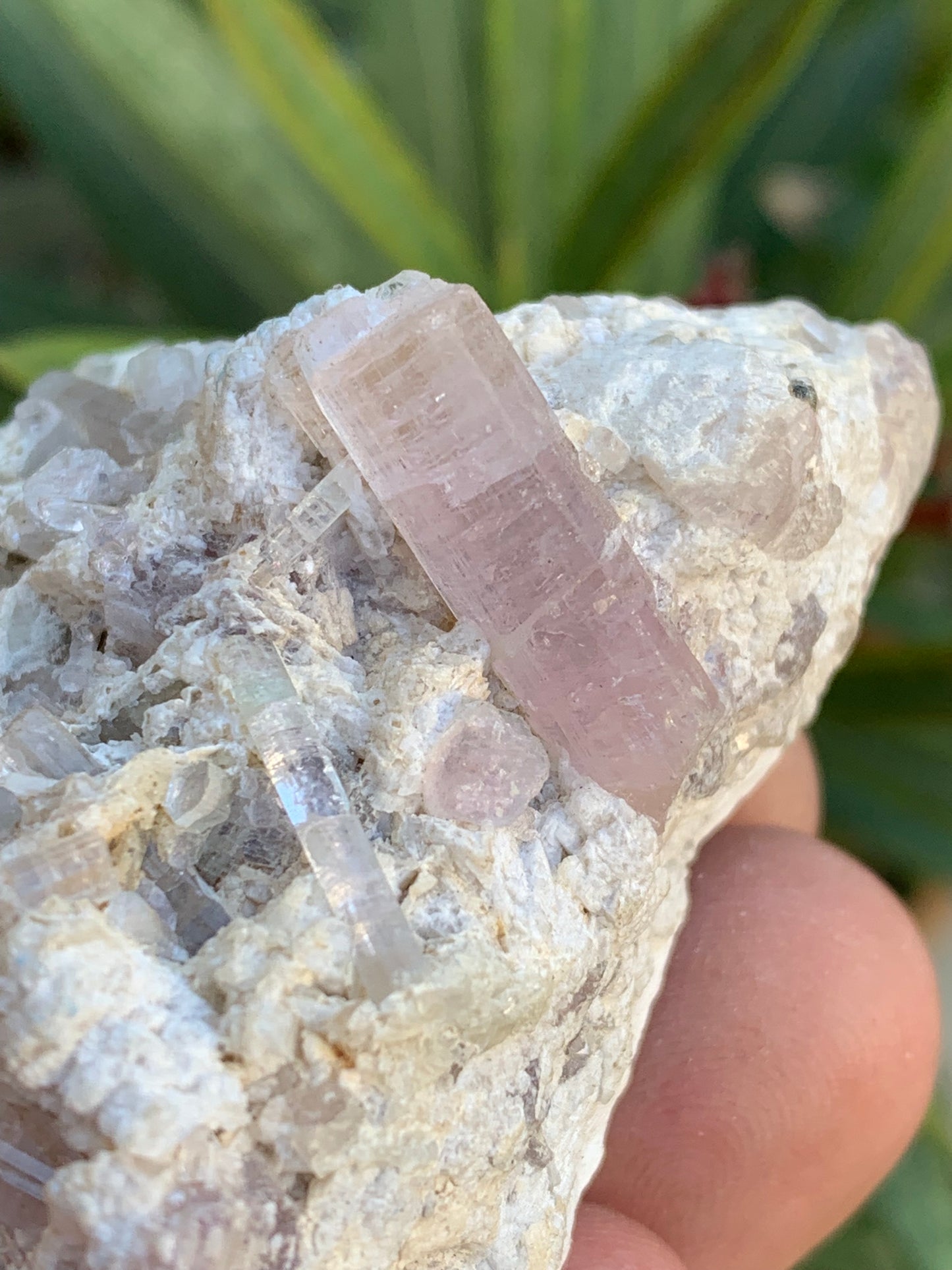 Tourmaline Rubellite, 67 x 43 x 31mm - 97,6 grammes. Une très belle petite pièce remplis de cristaux!