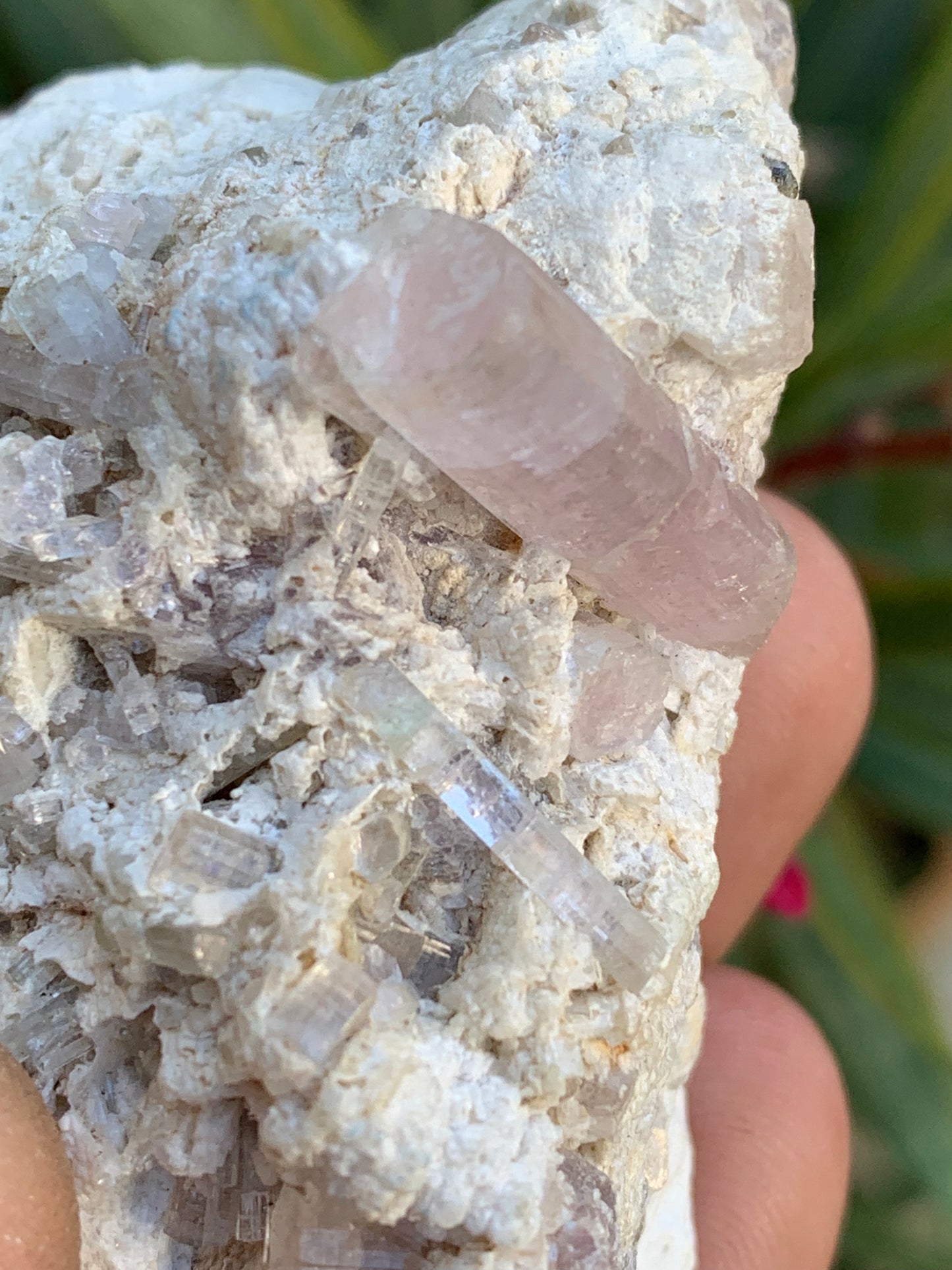 Tourmaline Rubellite, 67 x 43 x 31mm - 97,6 grammes. Une très belle petite pièce remplis de cristaux!