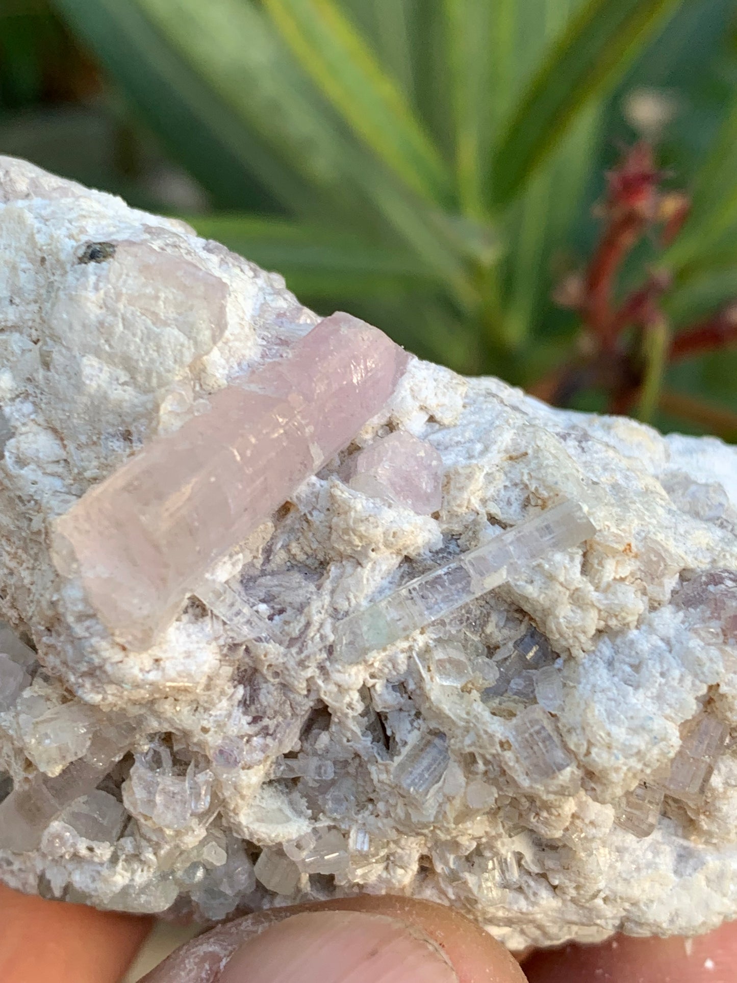 Tourmaline Rubellite, 67 x 43 x 31mm - 97,6 grammes. Une très belle petite pièce remplis de cristaux!
