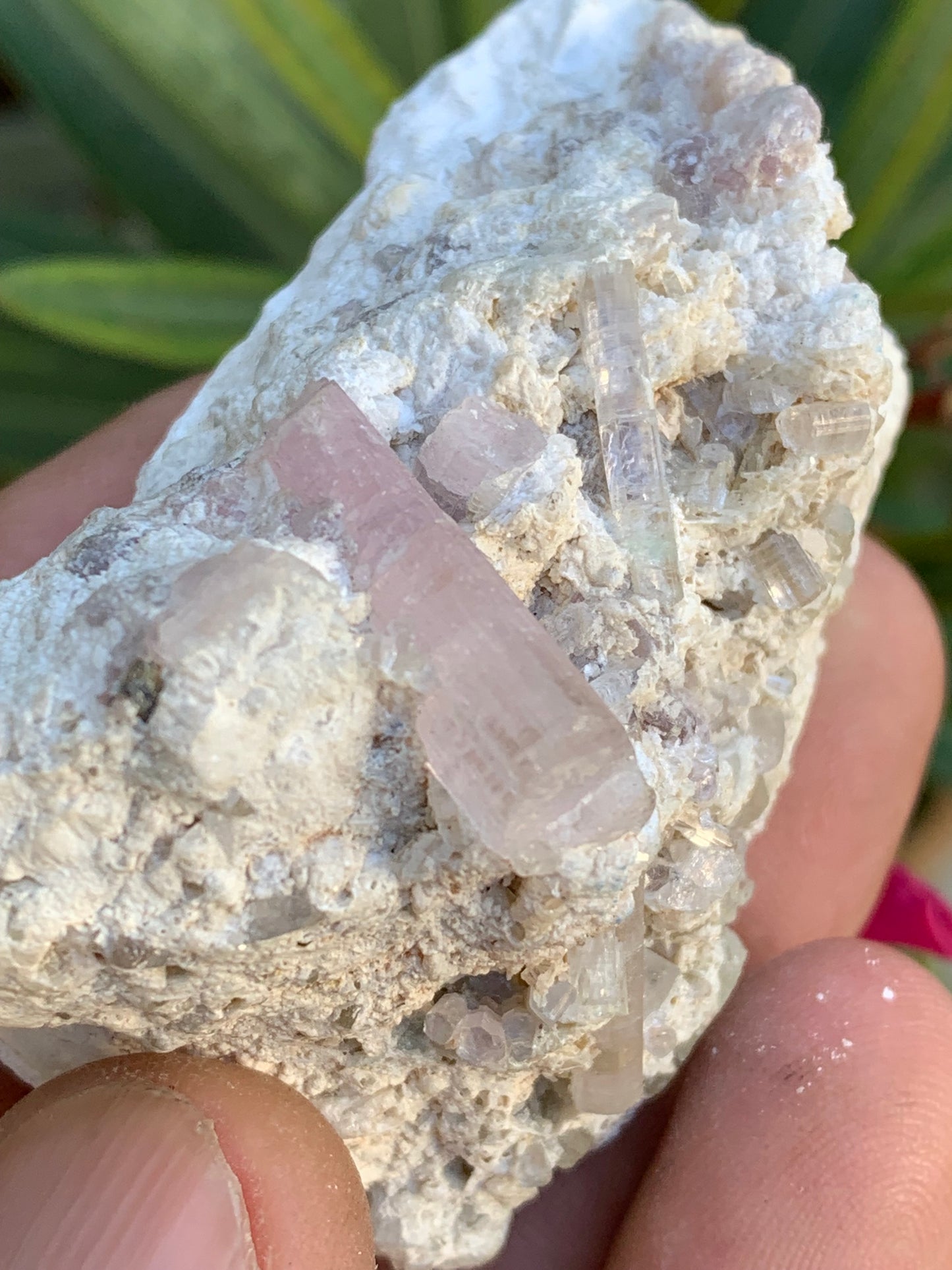 Tourmaline Rubellite, 67 x 43 x 31mm - 97,6 grammes. Une très belle petite pièce remplis de cristaux!