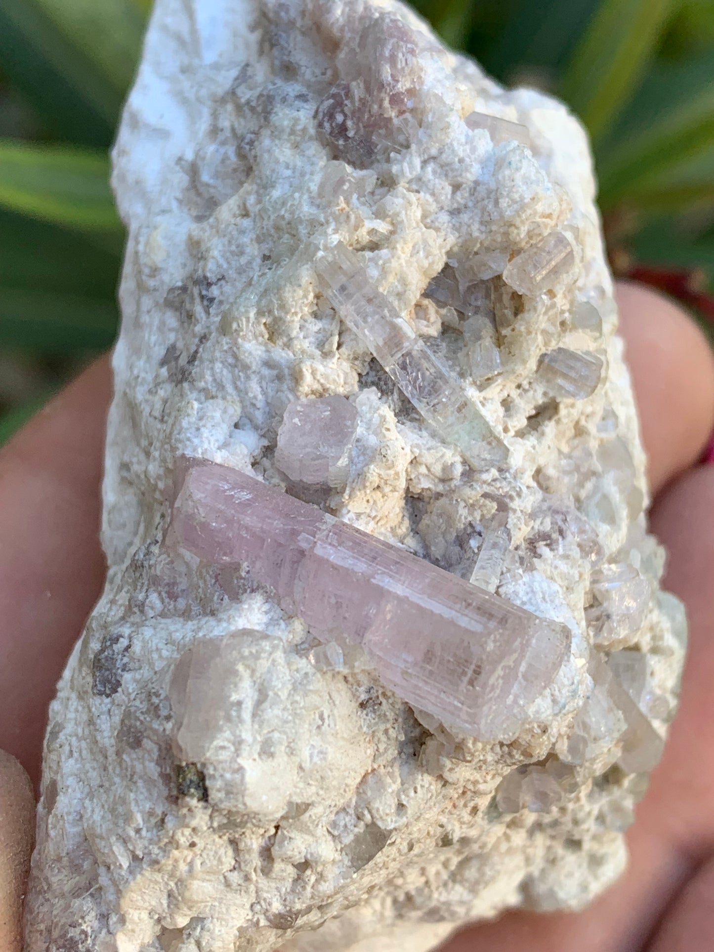 Tourmaline Rubellite, 67 x 43 x 31mm - 97,6 grammes. Une très belle petite pièce remplis de cristaux!