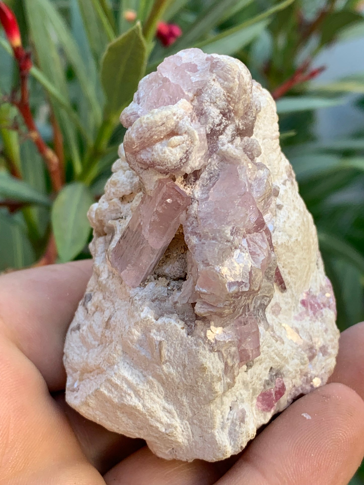 Tourmaline Rubellite, 71 x 59 x 48mm - 207,2 grammes. Une très belle petite pièce remplis de cristaux !