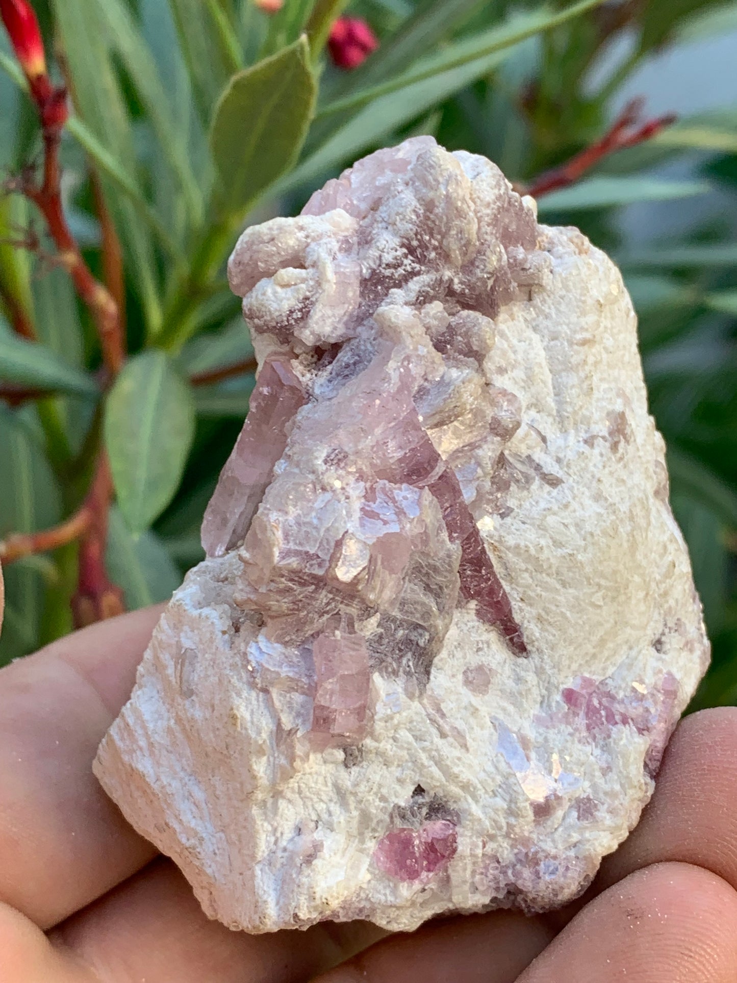 Tourmaline Rubellite, 71 x 59 x 48mm - 207,2 grammes. Une très belle petite pièce remplis de cristaux !