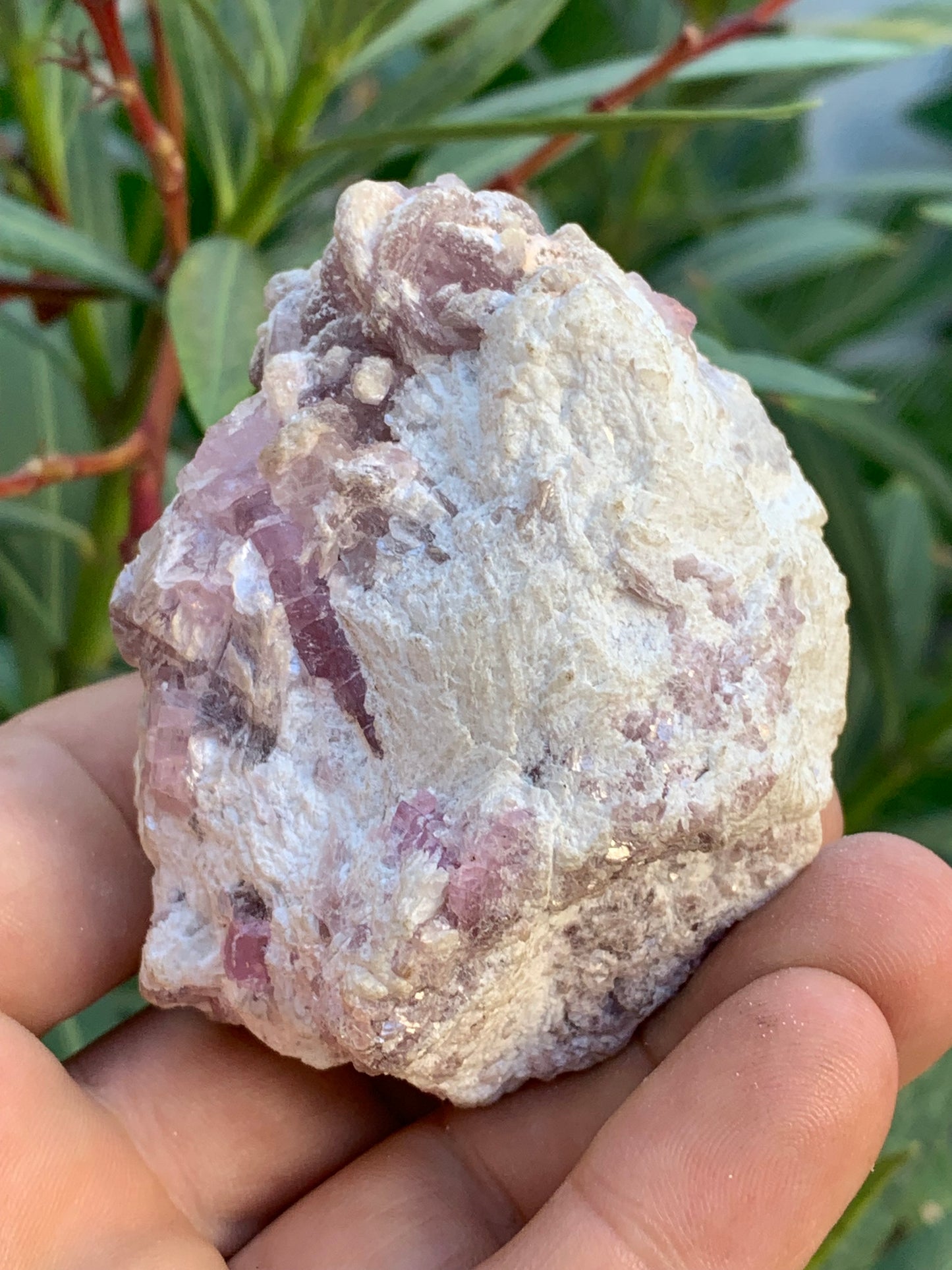 Tourmaline Rubellite, 71 x 59 x 48mm - 207,2 grammes. Une très belle petite pièce remplis de cristaux !