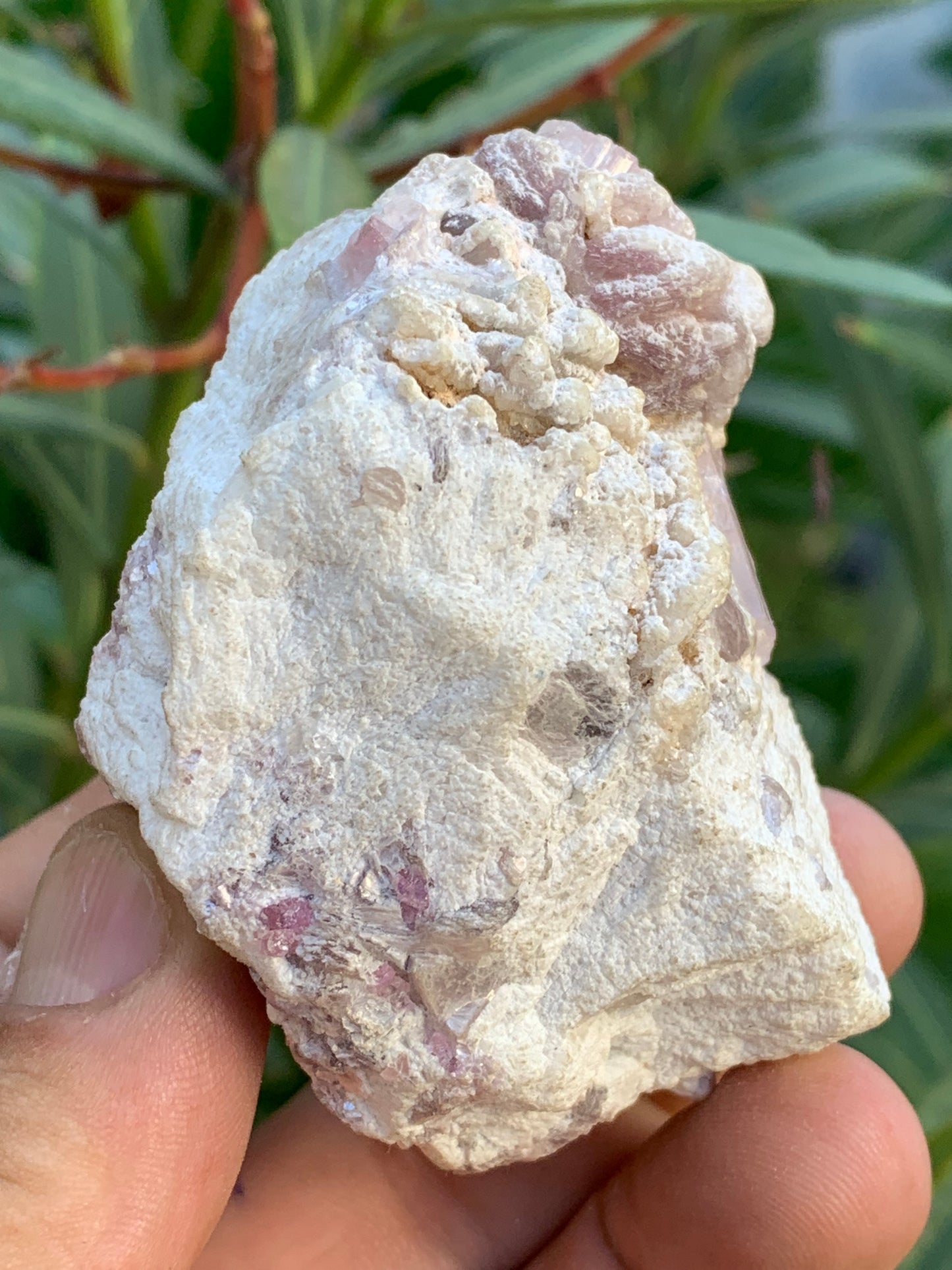 Tourmaline Rubellite, 71 x 59 x 48mm - 207,2 grammes. Une très belle petite pièce remplis de cristaux !