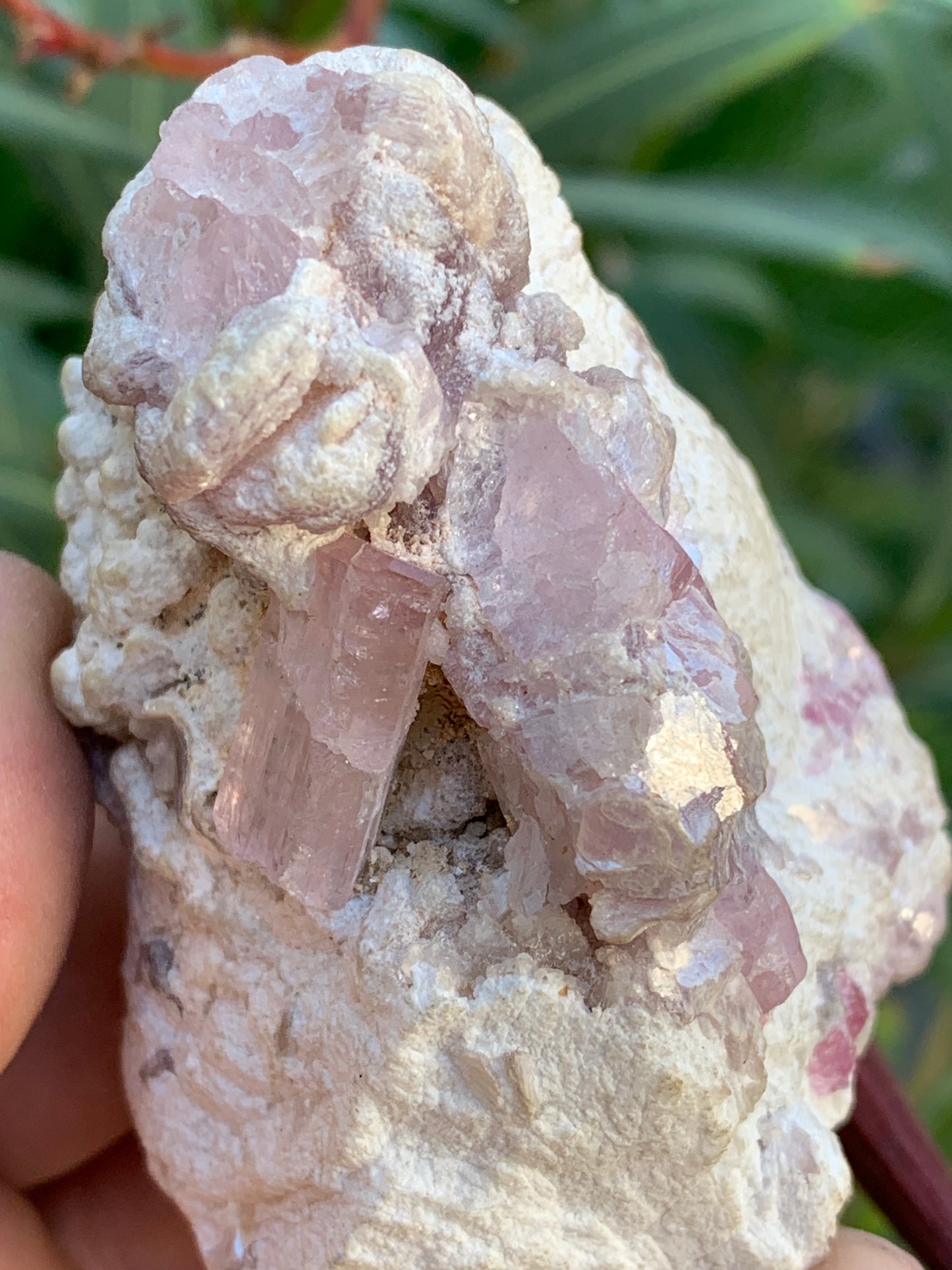 Tourmaline Rubellite, 71 x 59 x 48mm - 207,2 grammes. Une très belle petite pièce remplis de cristaux !