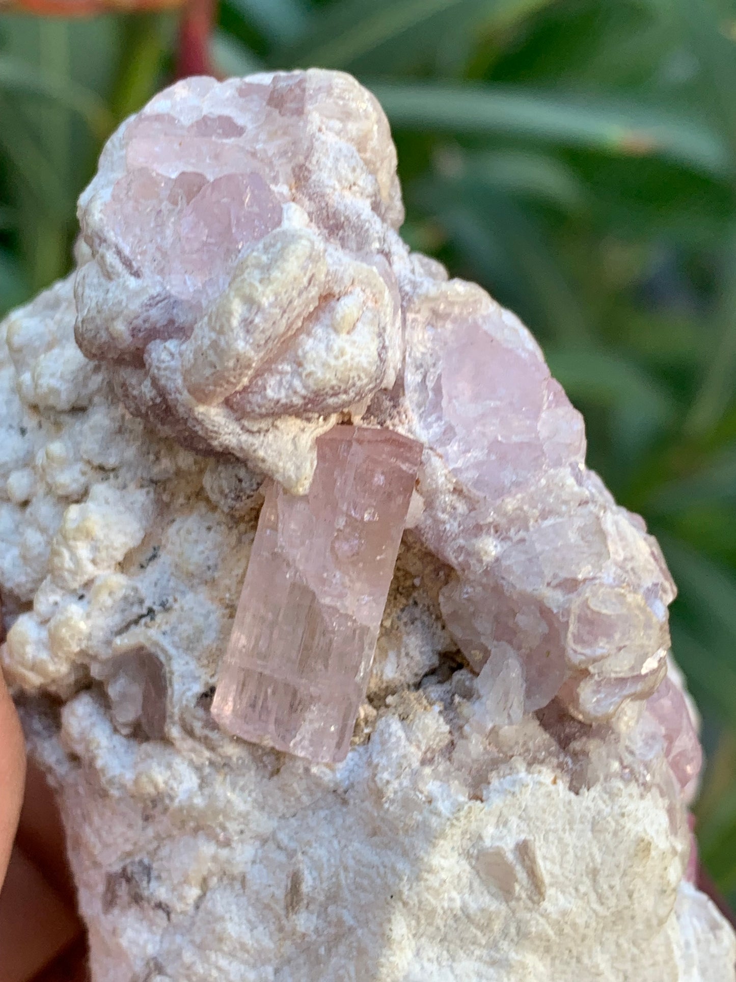 Tourmaline Rubellite, 71 x 59 x 48mm - 207,2 grammes. Une très belle petite pièce remplis de cristaux !