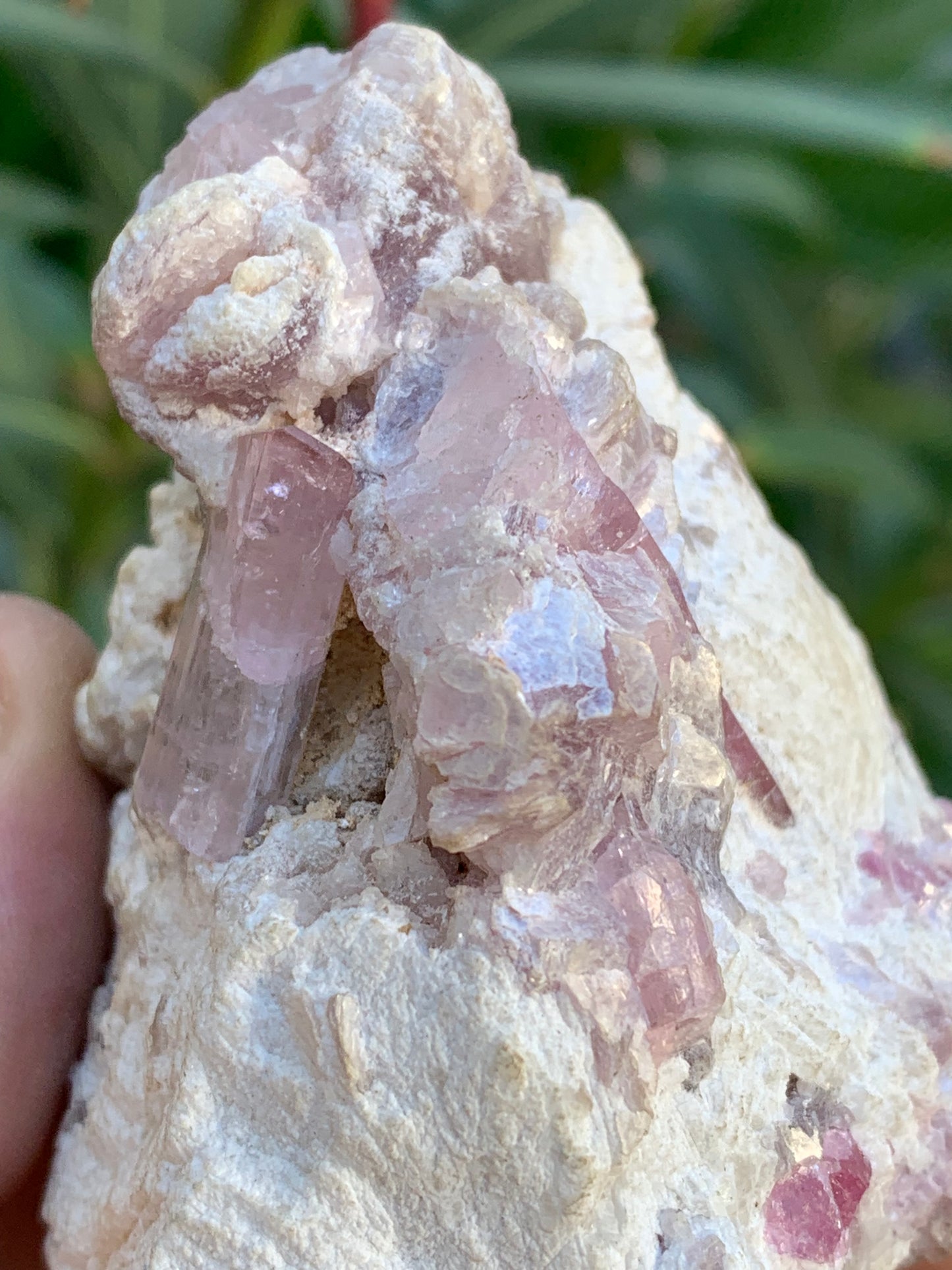 Tourmaline Rubellite, 71 x 59 x 48mm - 207,2 grammes. Une très belle petite pièce remplis de cristaux !
