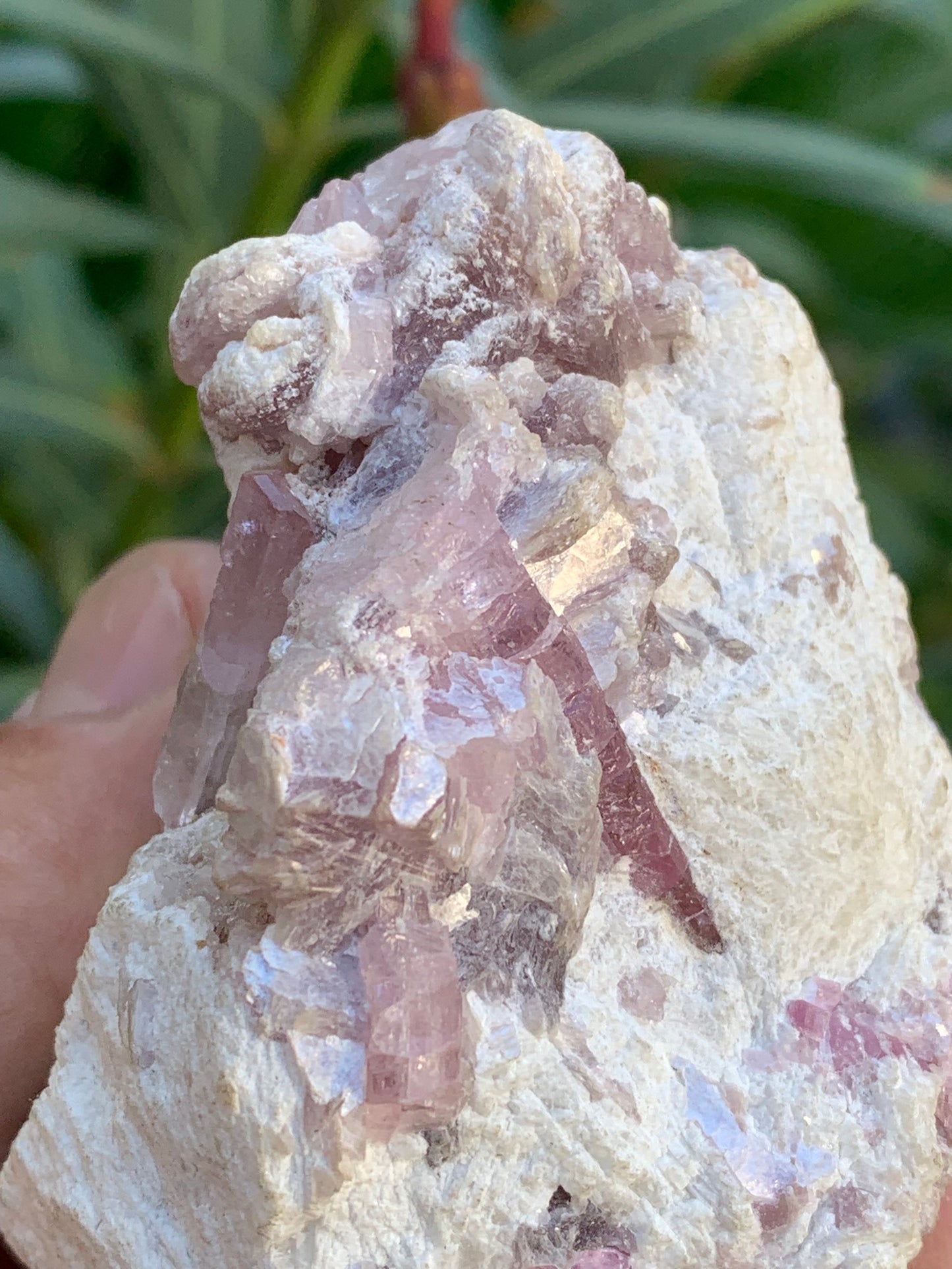 Tourmaline Rubellite, 71 x 59 x 48mm - 207,2 grammes. Une très belle petite pièce remplis de cristaux !