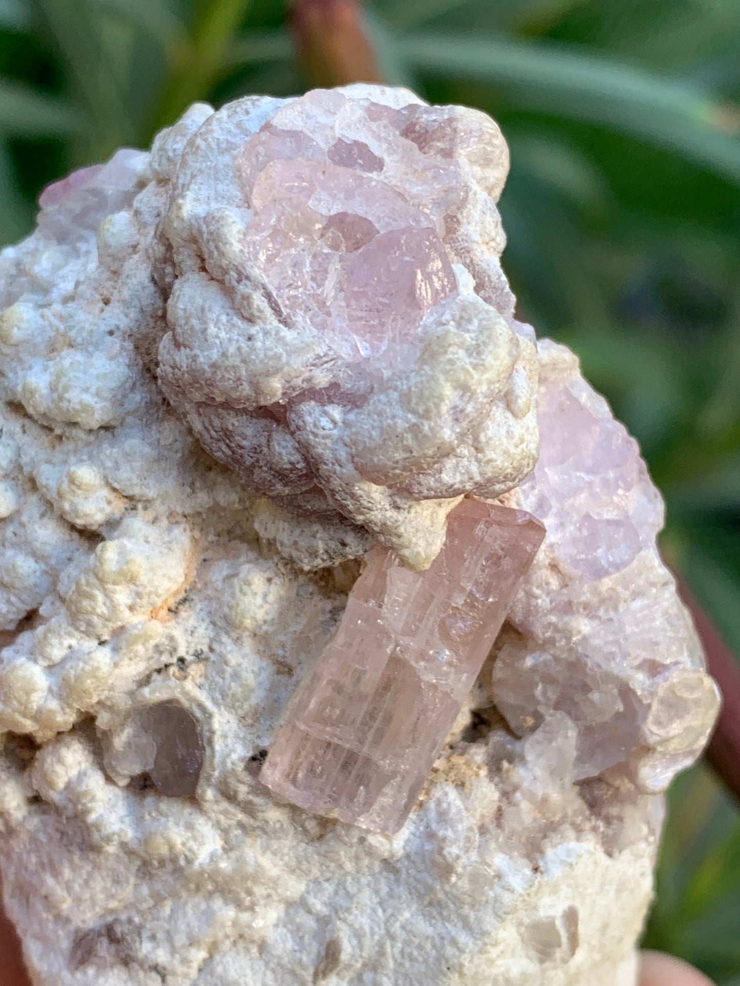Tourmaline Rubellite, 71 x 59 x 48mm - 207,2 grammes. Une très belle petite pièce remplis de cristaux !