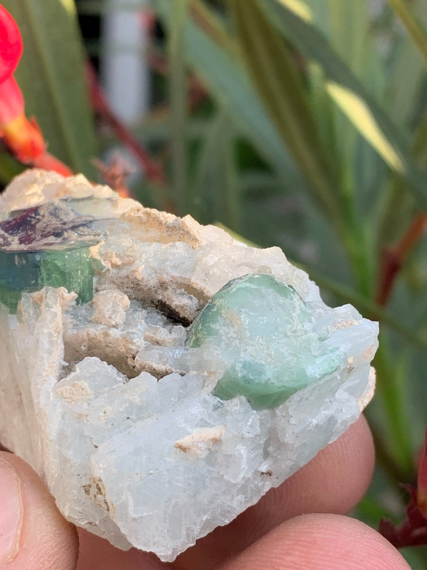 Tourmaline bleue/ Indicolite et Aigue-Marine , spécimen naturel de 52 x 32 x 30 mm - 47,9 grammes !