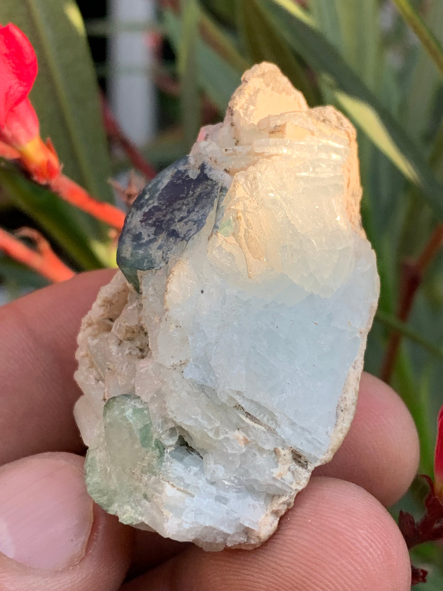 Tourmaline bleue/ Indicolite et Aigue-Marine , spécimen naturel de 52 x 32 x 30 mm - 47,9 grammes !