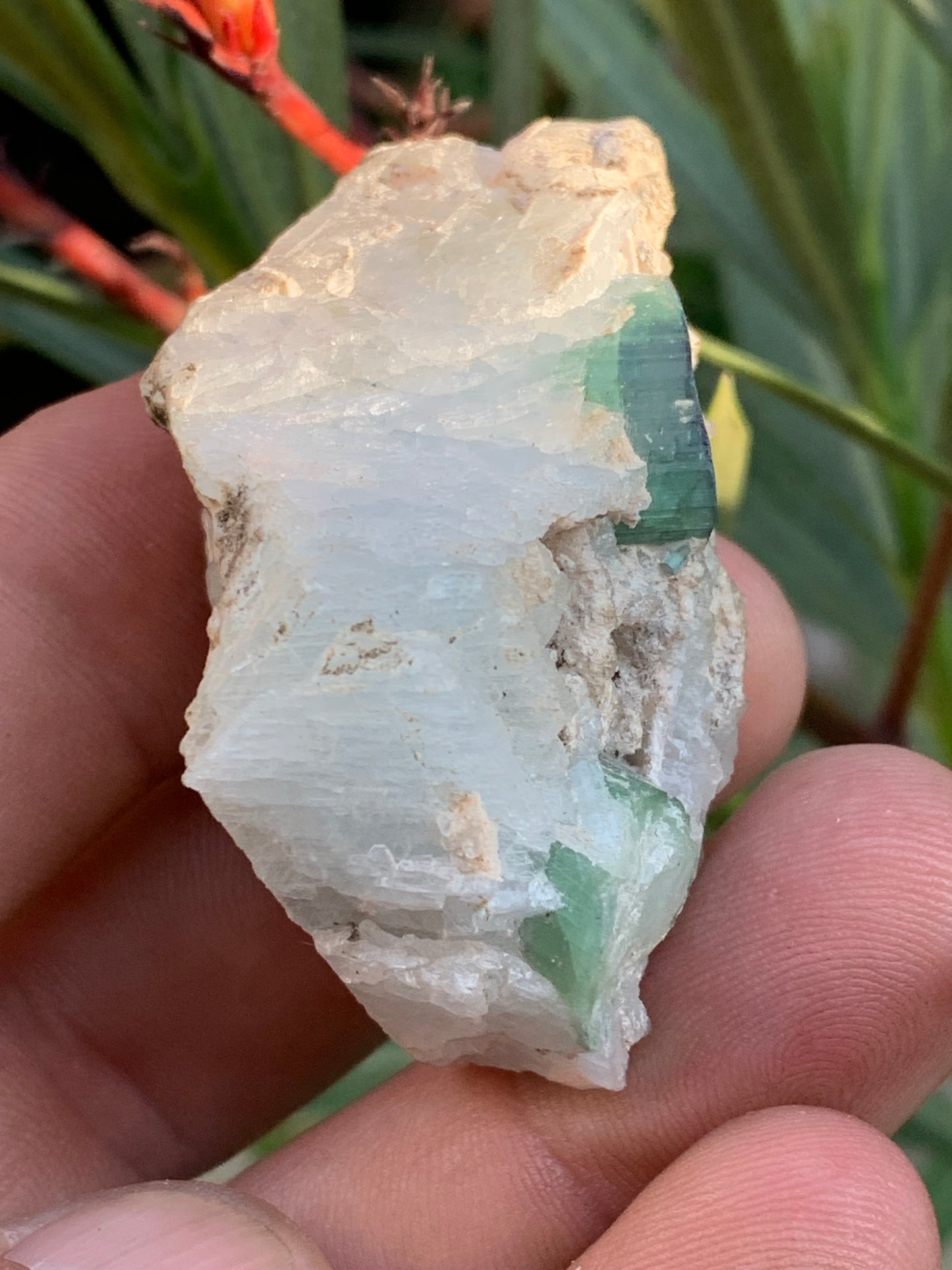 Tourmaline bleue/ Indicolite et Aigue-Marine , spécimen naturel de 52 x 32 x 30 mm - 47,9 grammes !