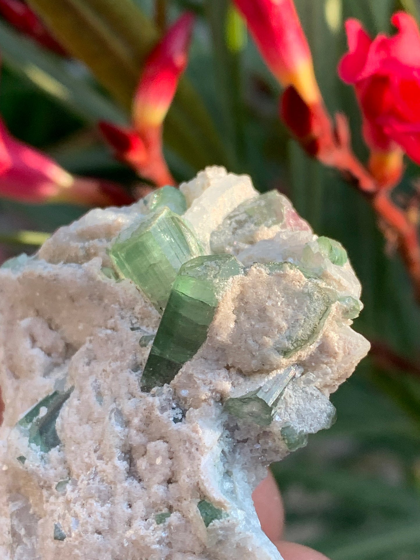 Tourmaline verte/ Verdélite et melon d'eau , spécimen naturel de 58 x 40 x 25 mm - 49,7 grammes !
