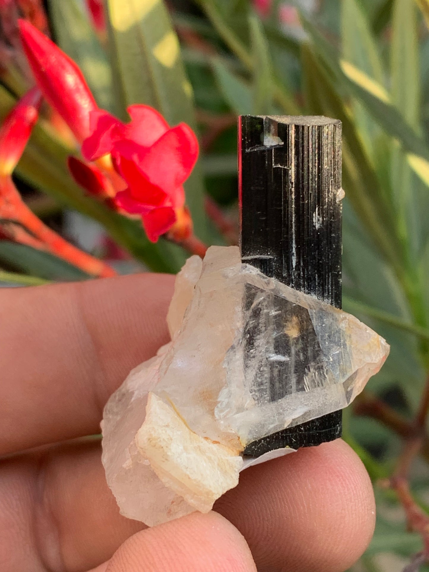 Green Tourmaline/Verdelite on Quartz Crystal, Natural Specimen 46 x 35 x 33 mm - Approximately 27.7 grams. 1 beautiful crystal with a green-terminated tourmaline point running through it!