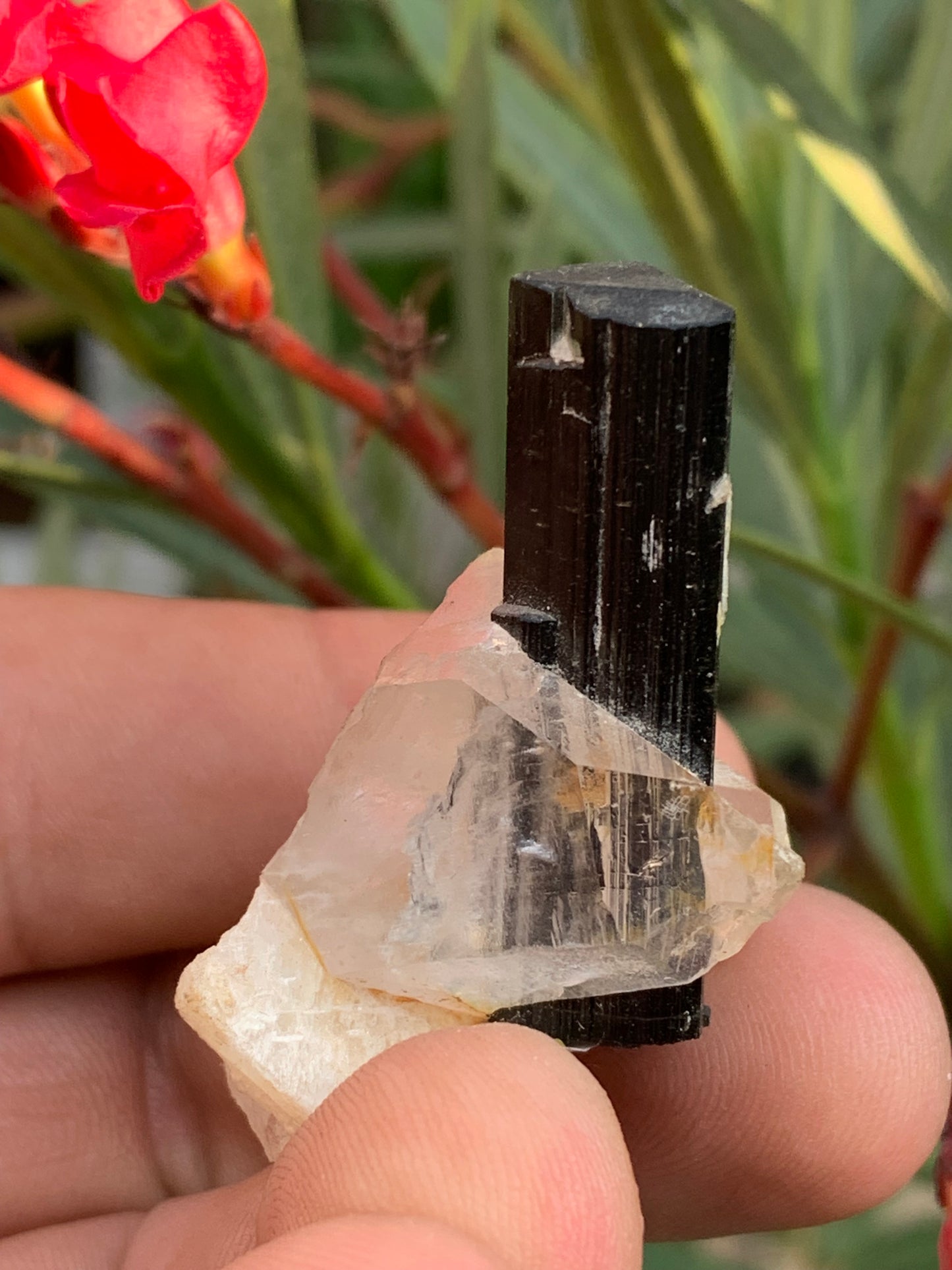 Green Tourmaline/Verdelite on Quartz Crystal, Natural Specimen 46 x 35 x 33 mm - Approximately 27.7 grams. 1 beautiful crystal with a green-terminated tourmaline point running through it!