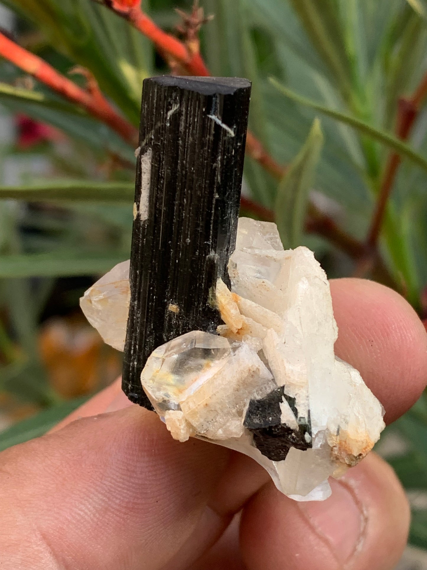 Green Tourmaline/Verdelite on Quartz Crystal, Natural Specimen 46 x 35 x 33 mm - Approximately 27.7 grams. 1 beautiful crystal with a green-terminated tourmaline point running through it!