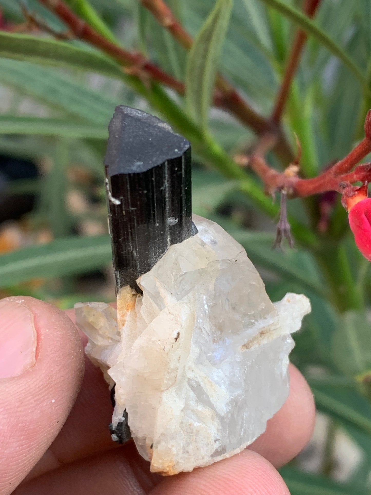 Green Tourmaline/Verdelite on Quartz Crystal, Natural Specimen 46 x 35 x 33 mm - Approximately 27.7 grams. 1 beautiful crystal with a green-terminated tourmaline point running through it!