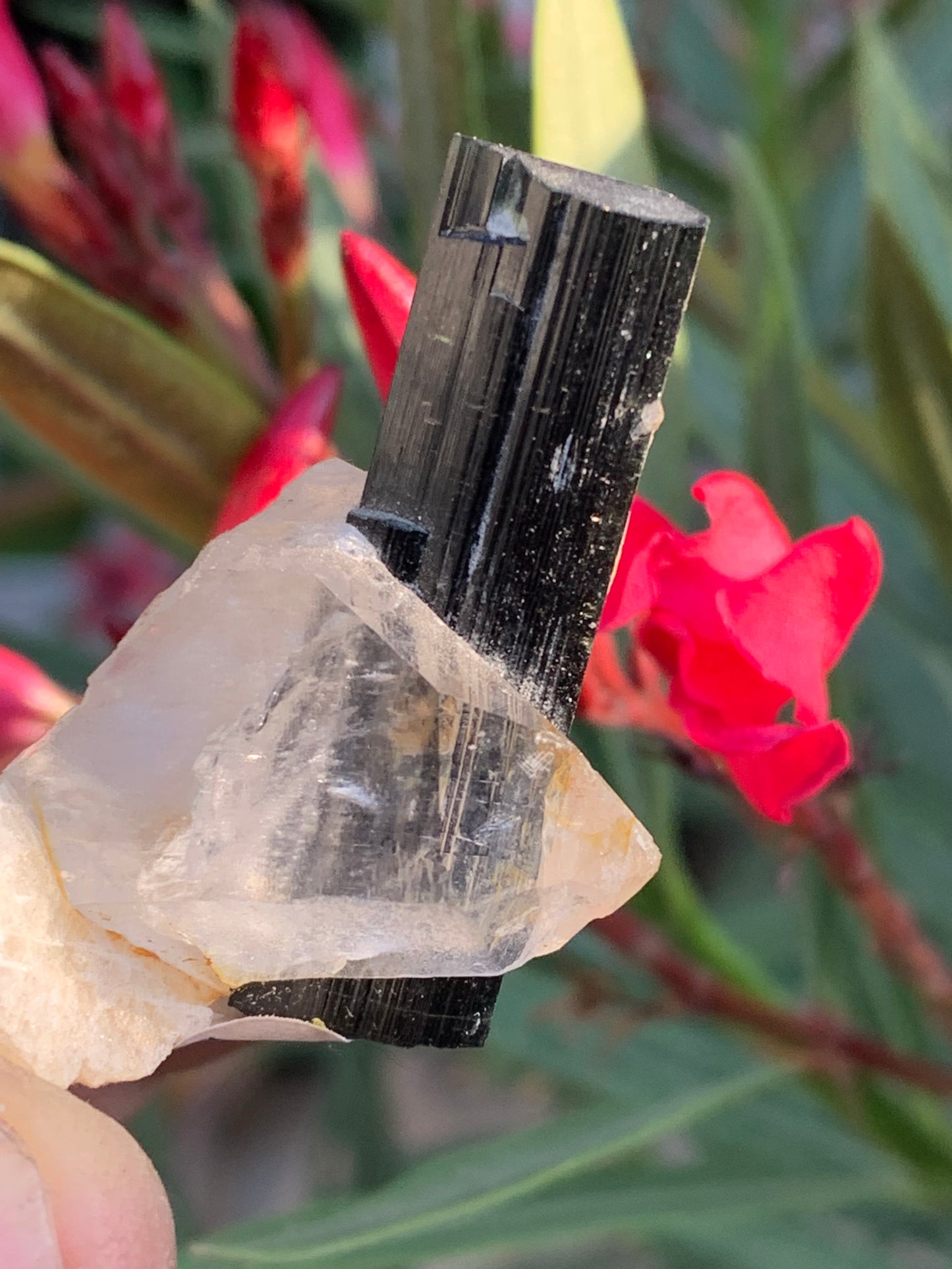 Green Tourmaline/Verdelite on Quartz Crystal, Natural Specimen 46 x 35 x 33 mm - Approximately 27.7 grams. 1 beautiful crystal with a green-terminated tourmaline point running through it!