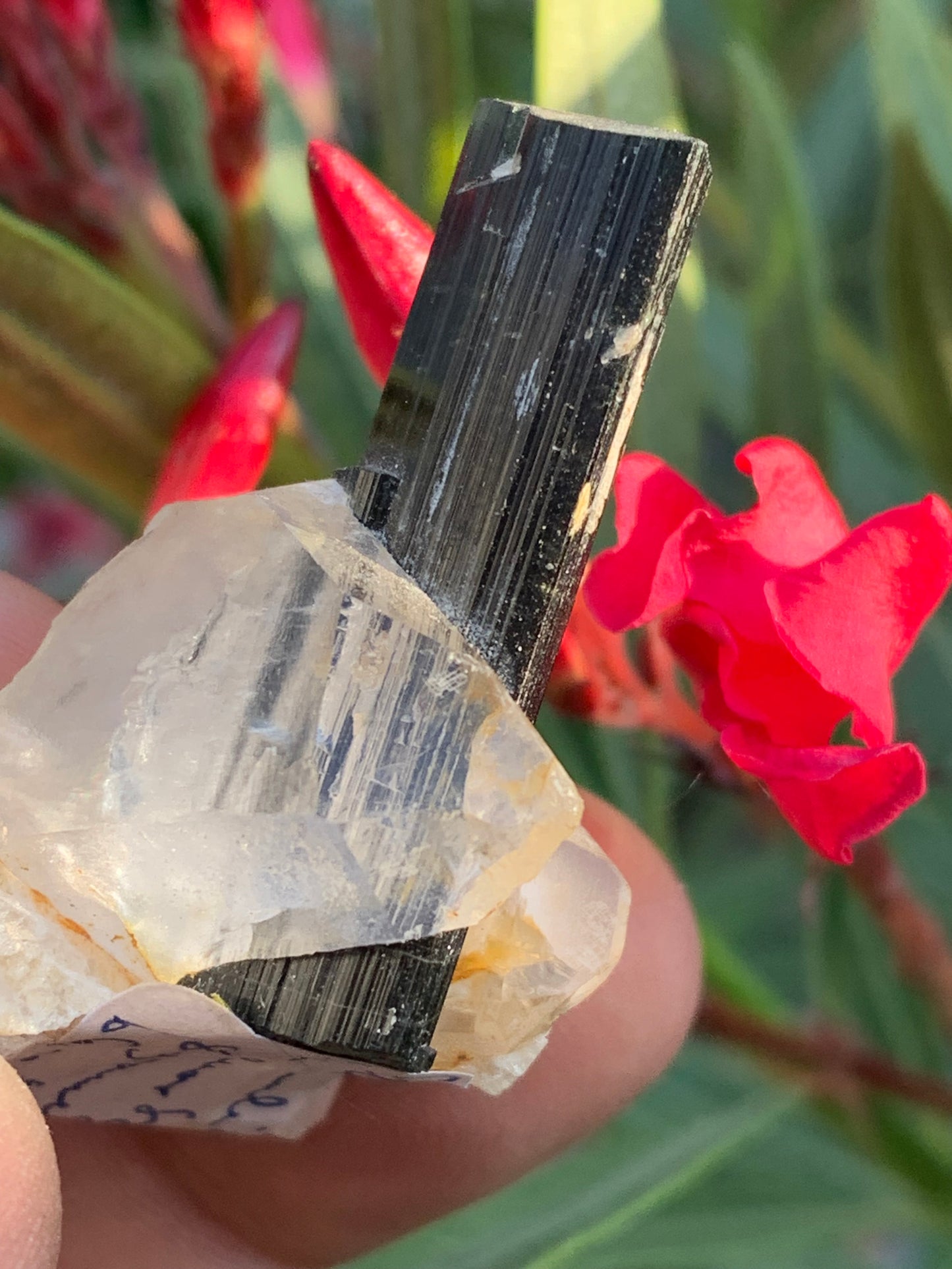 Green Tourmaline/Verdelite on Quartz Crystal, Natural Specimen 46 x 35 x 33 mm - Approximately 27.7 grams. 1 beautiful crystal with a green-terminated tourmaline point running through it!