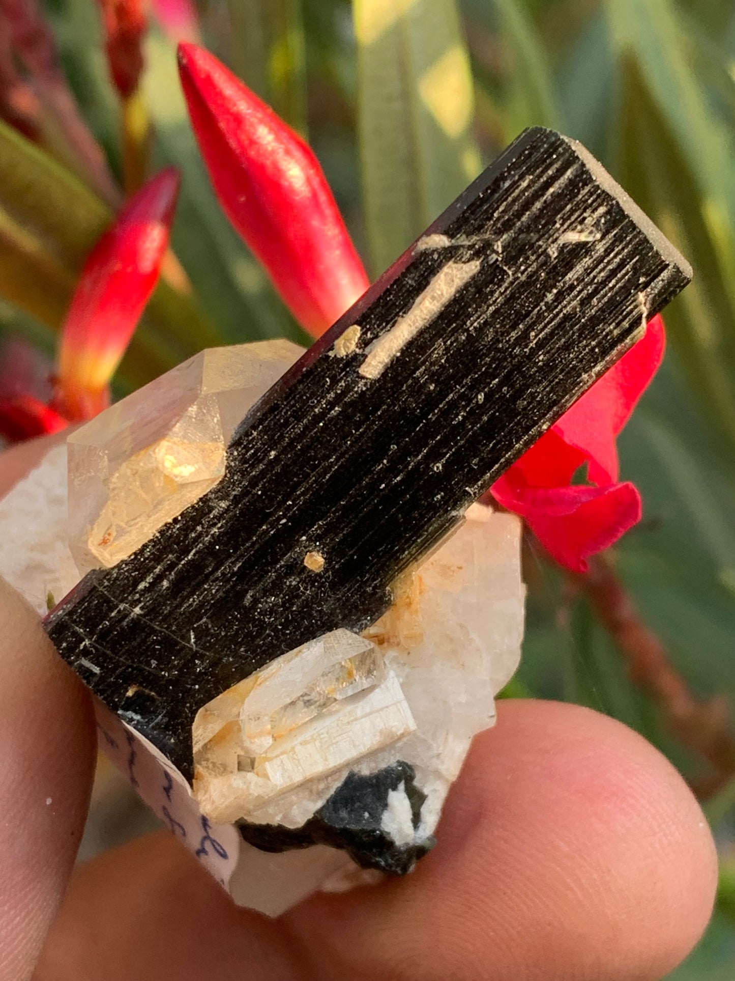 Green Tourmaline/Verdelite on Quartz Crystal, Natural Specimen 46 x 35 x 33 mm - Approximately 27.7 grams. 1 beautiful crystal with a green-terminated tourmaline point running through it!
